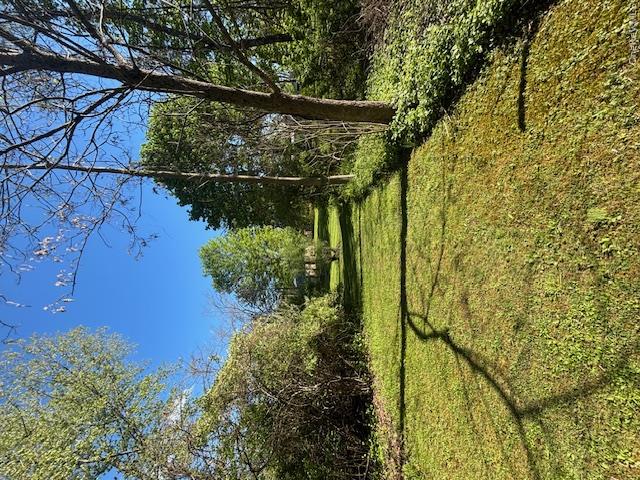 29 E Kerley Corners Property Photo 26