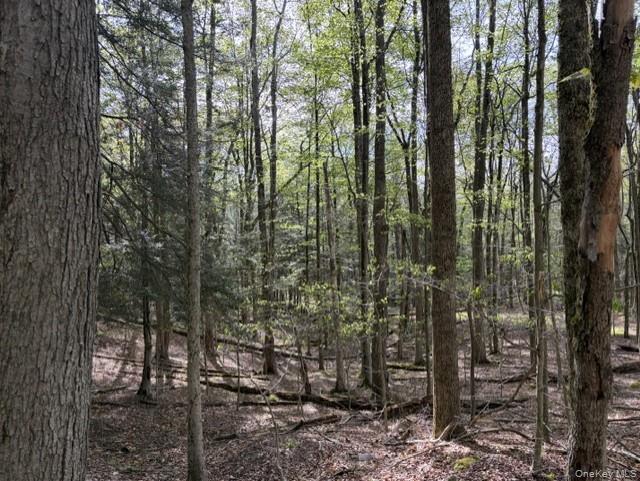 Glenwild Drive Property Photo 6
