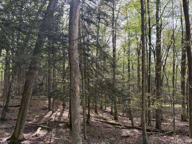 Glenwild Drive Property Photo 18