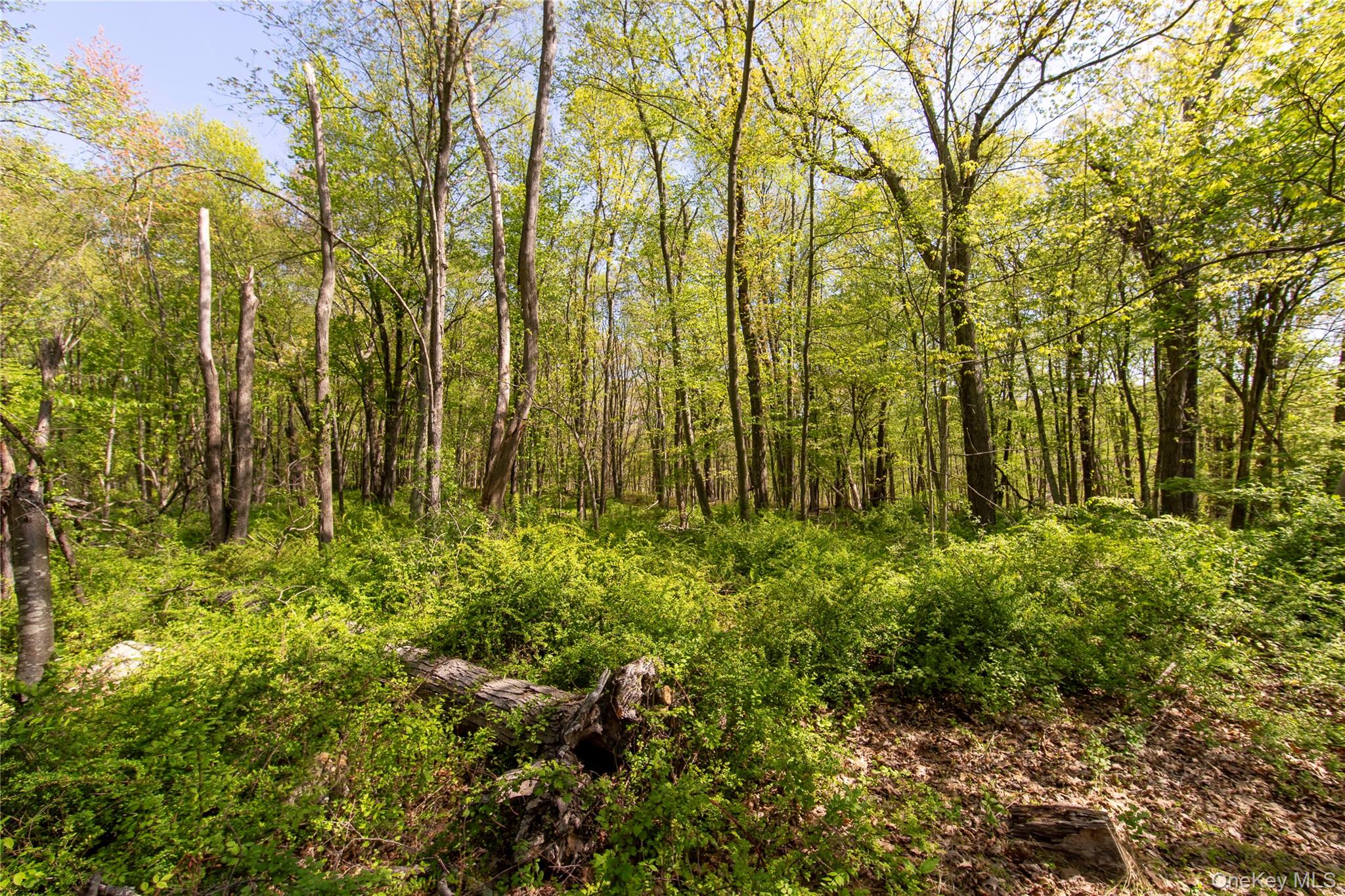 298 Nash Road Property Photo 5