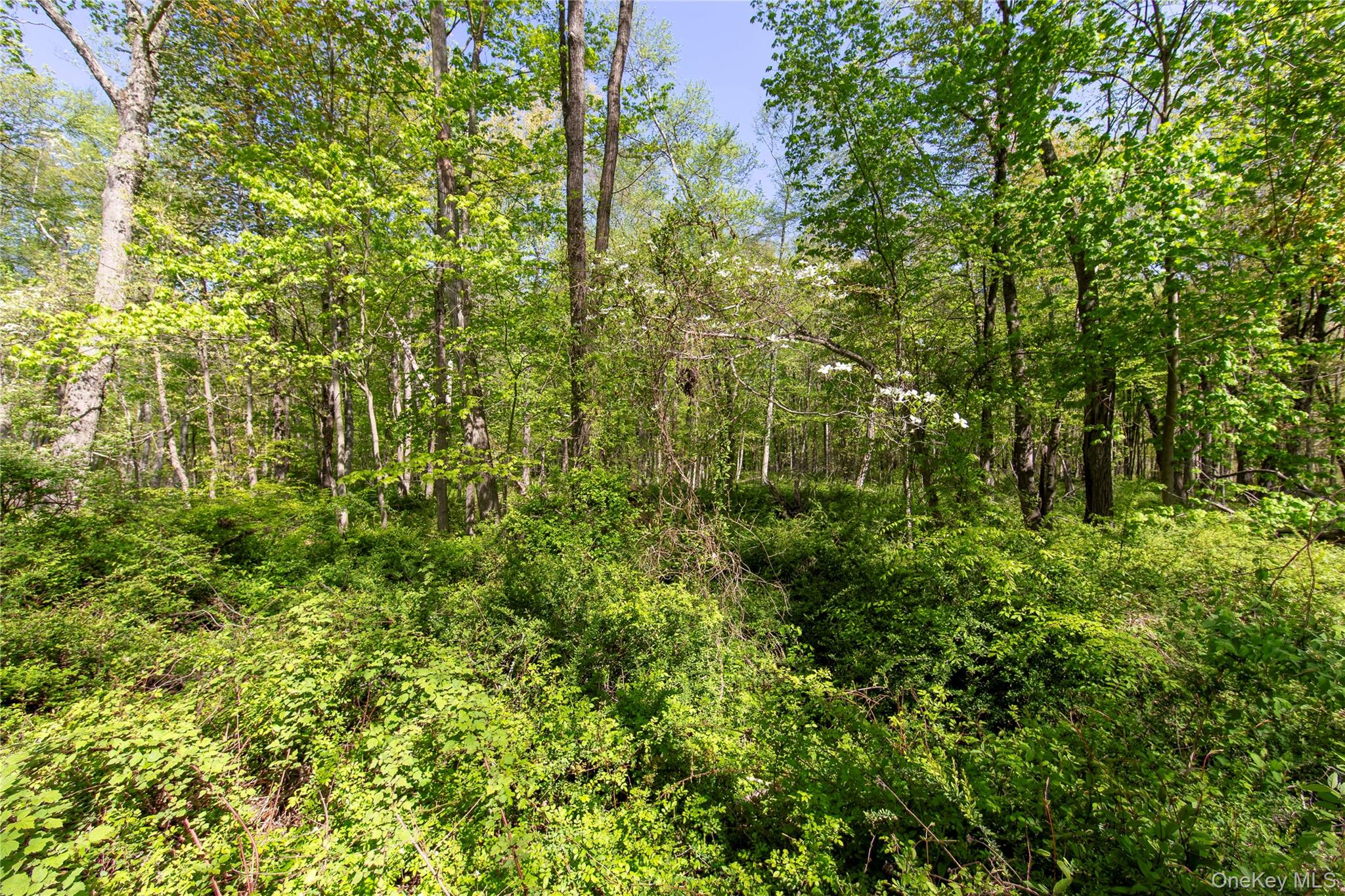 298 Nash Road Property Photo 6
