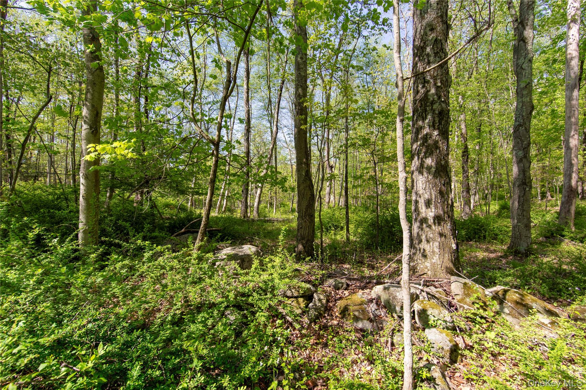 298 Nash Road Property Photo 8