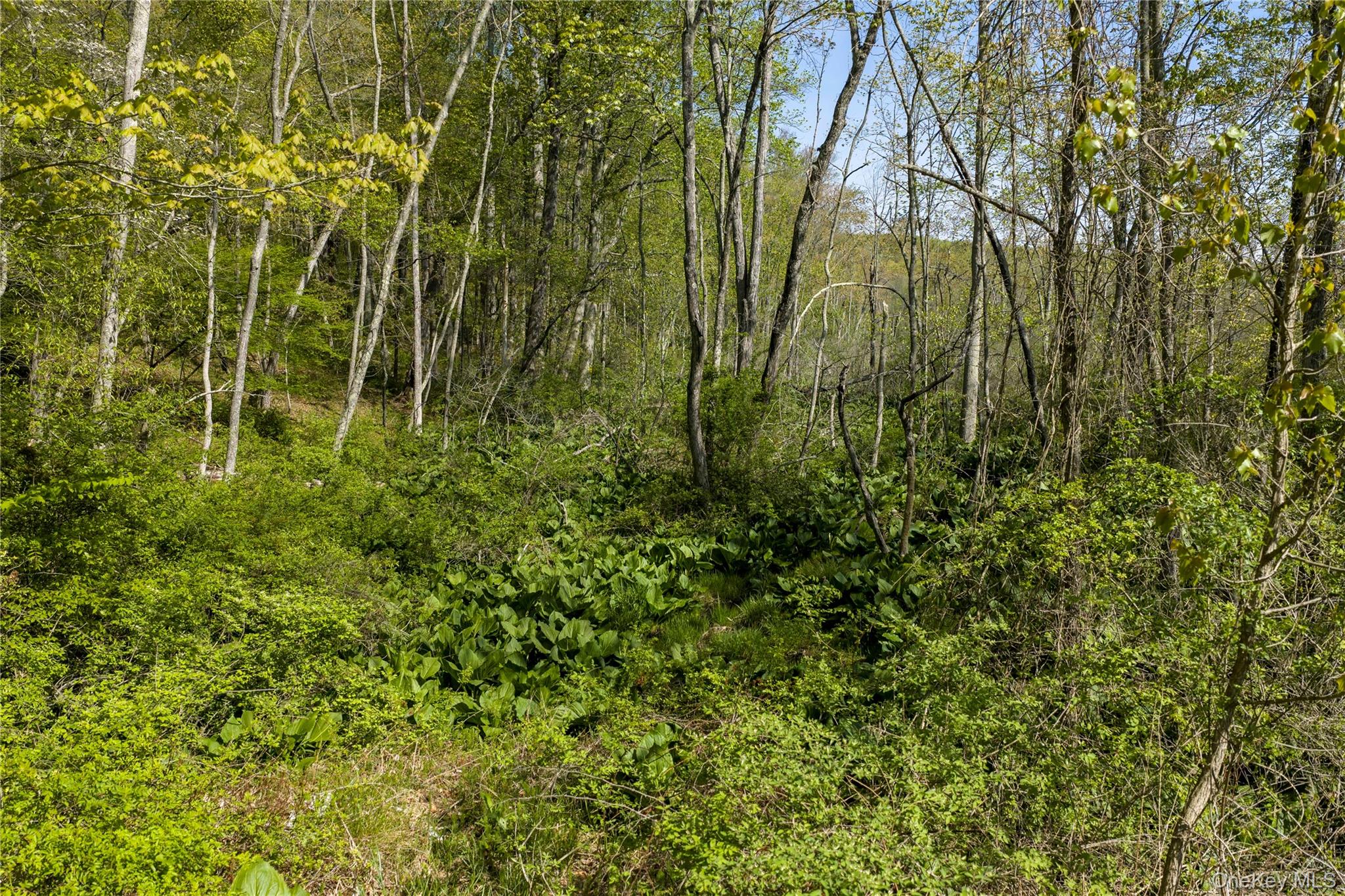 298 Nash Road Property Photo 9