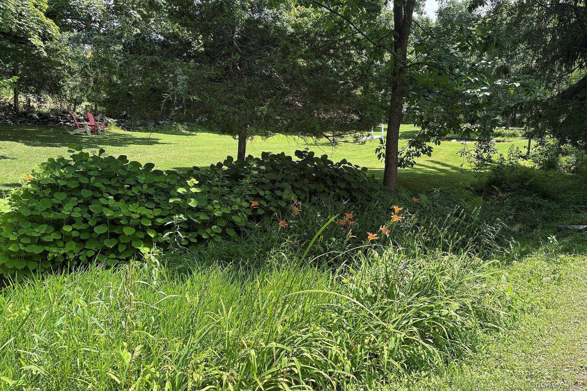 145 Drake Road Property Photo 40