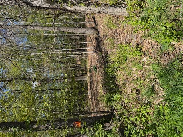 Four Corners Road Property Photo 1