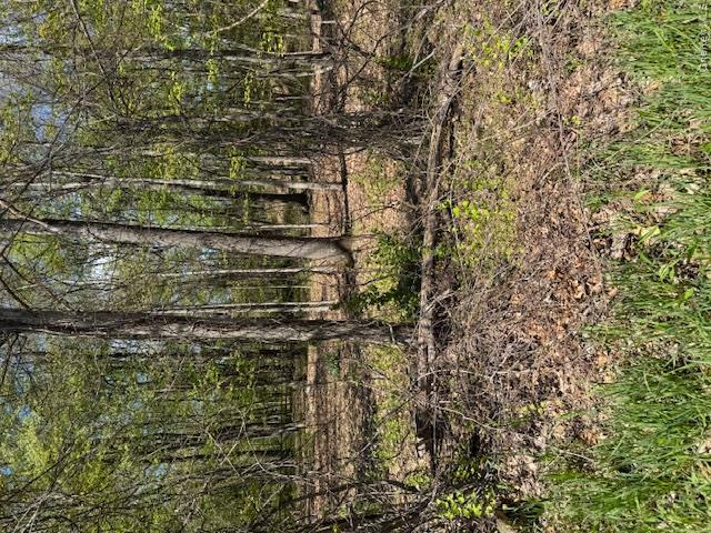 Four Corners Road Property Photo 2