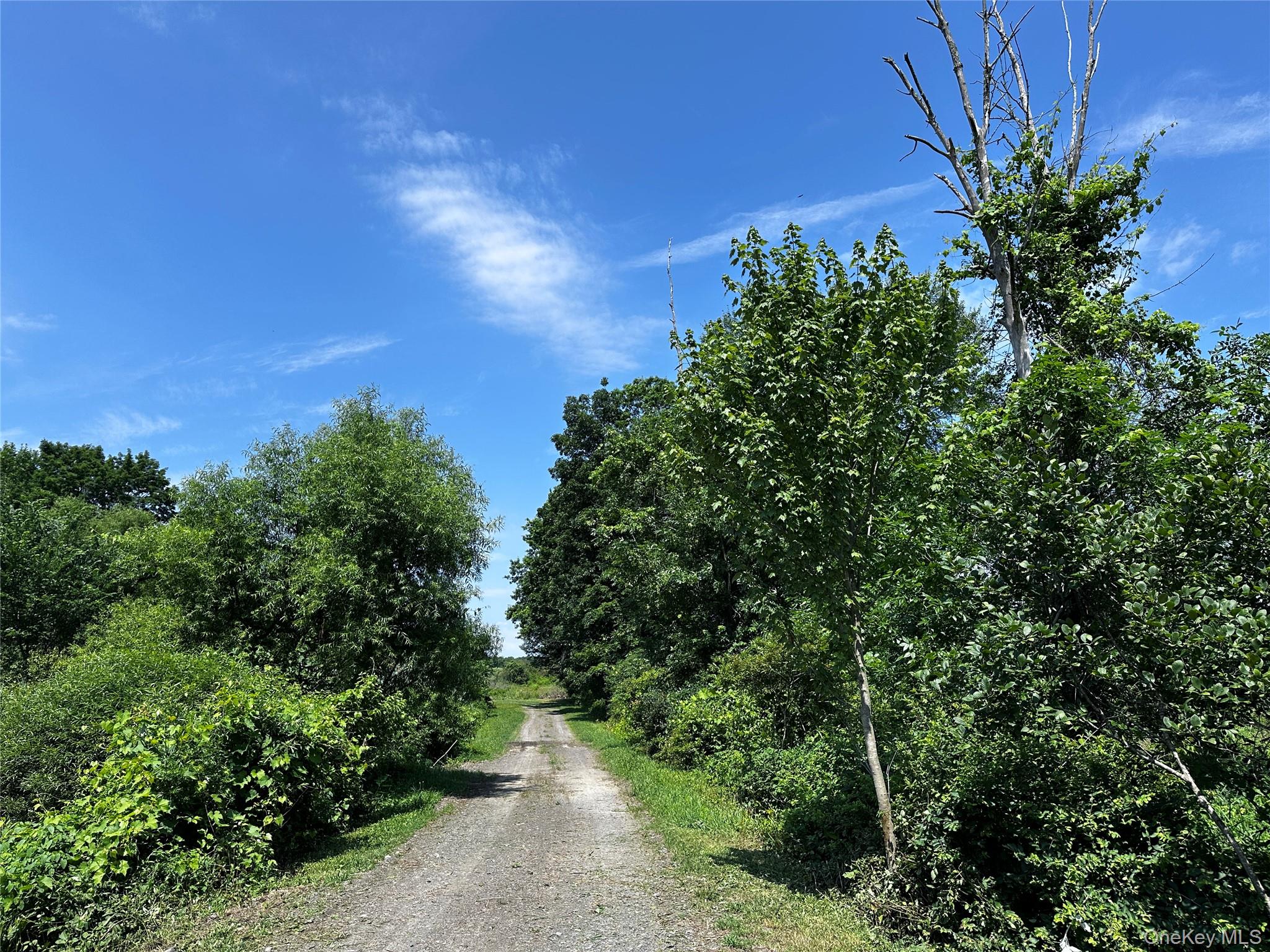 Route 32 S Property Photo 19