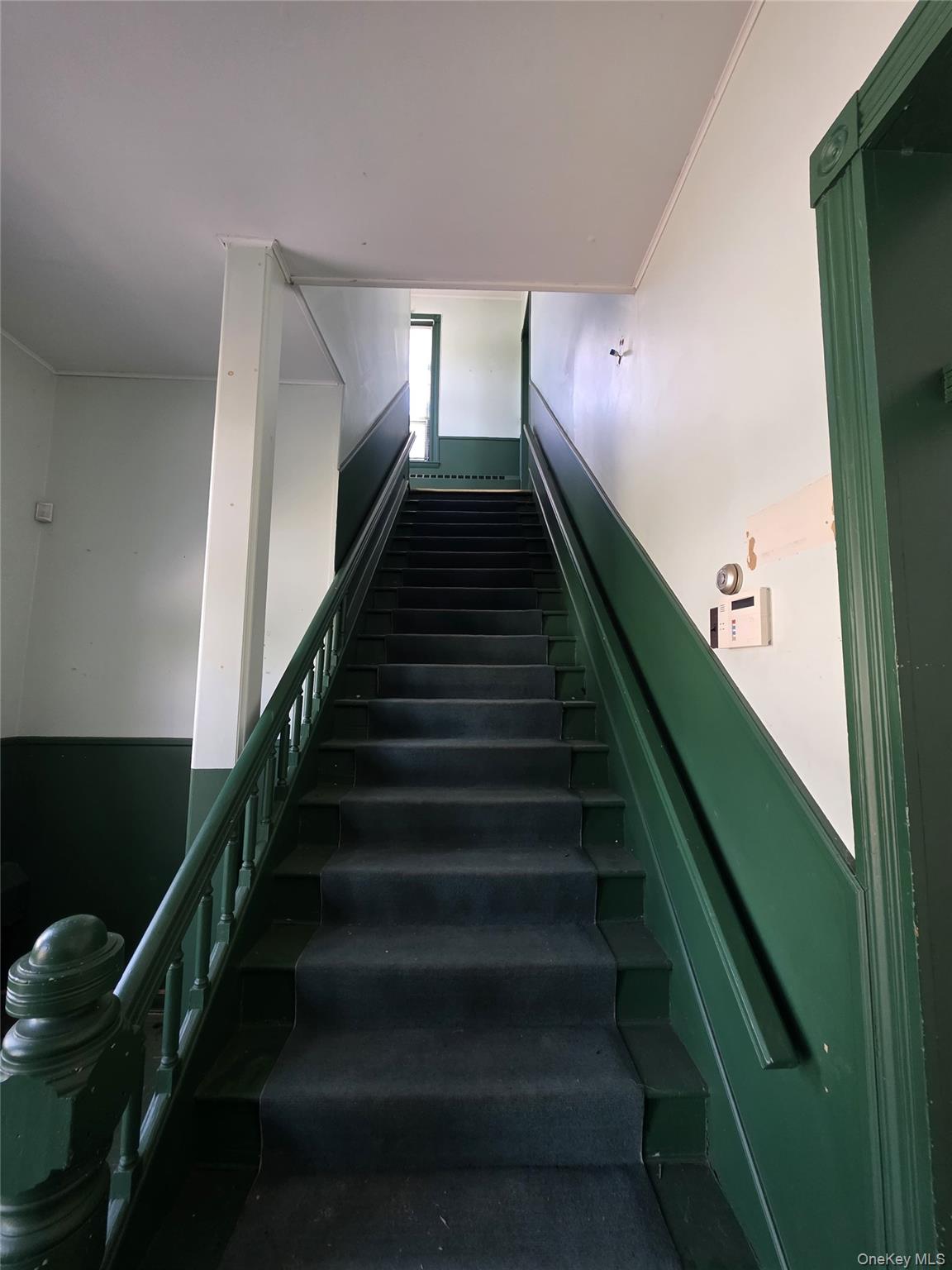 9 Thompson Street Property Photo 15