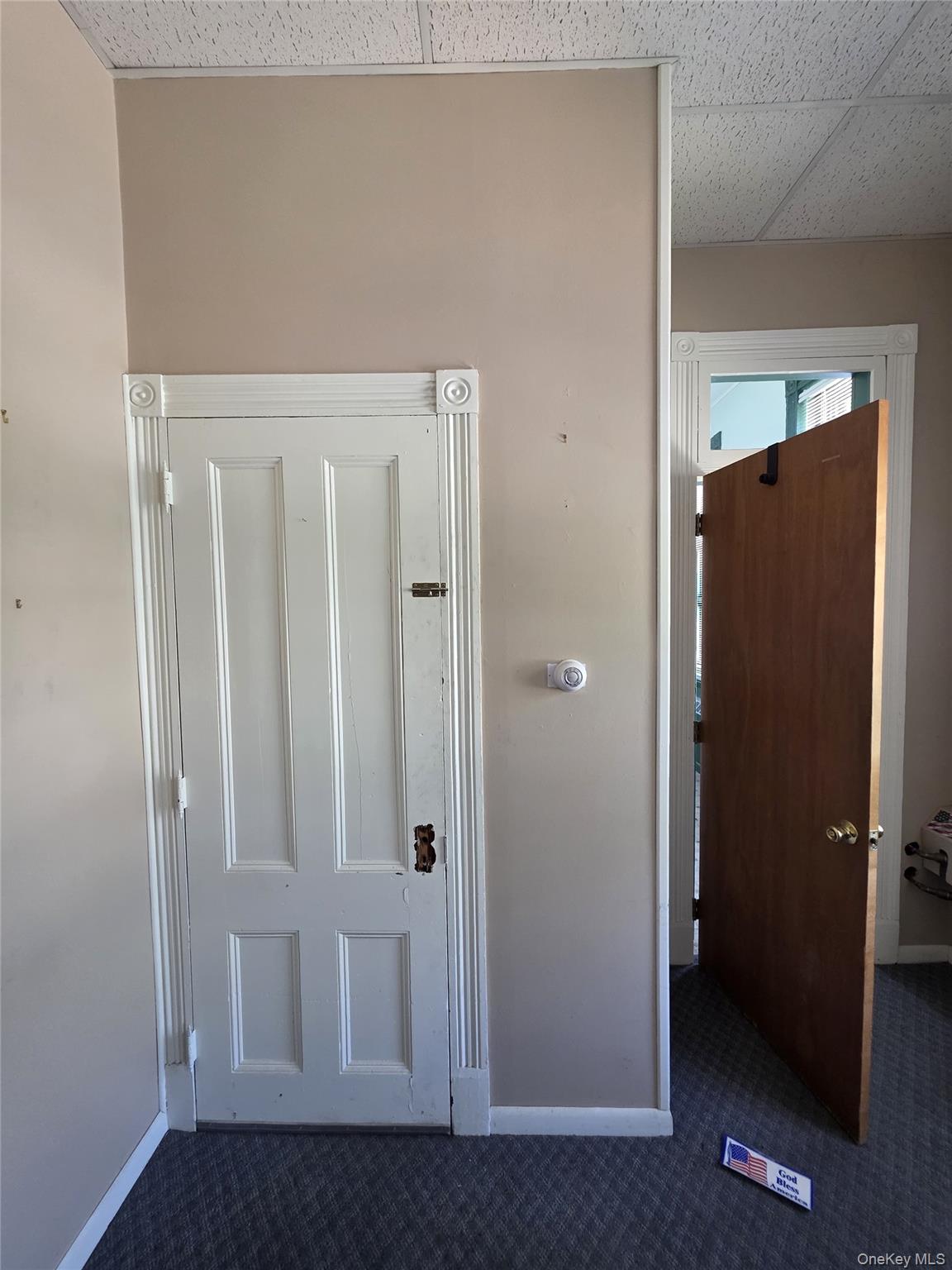 9 Thompson Street Property Photo 27
