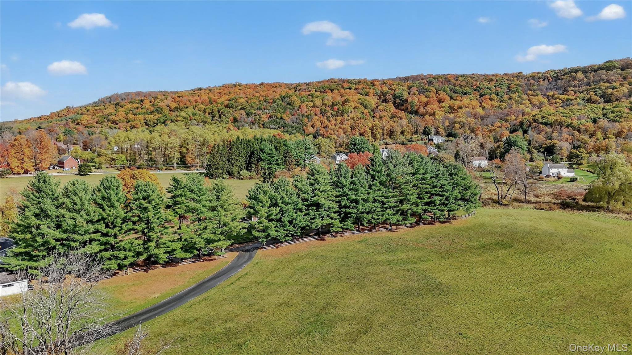 234 Hynes Road Property Photo 42