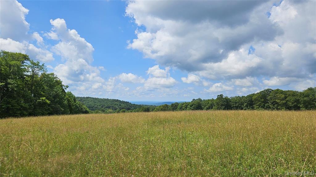 0 Stump Pond Road Property Photo 4