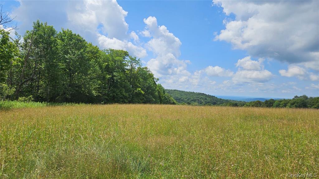 0 Stump Pond Road Property Photo 6