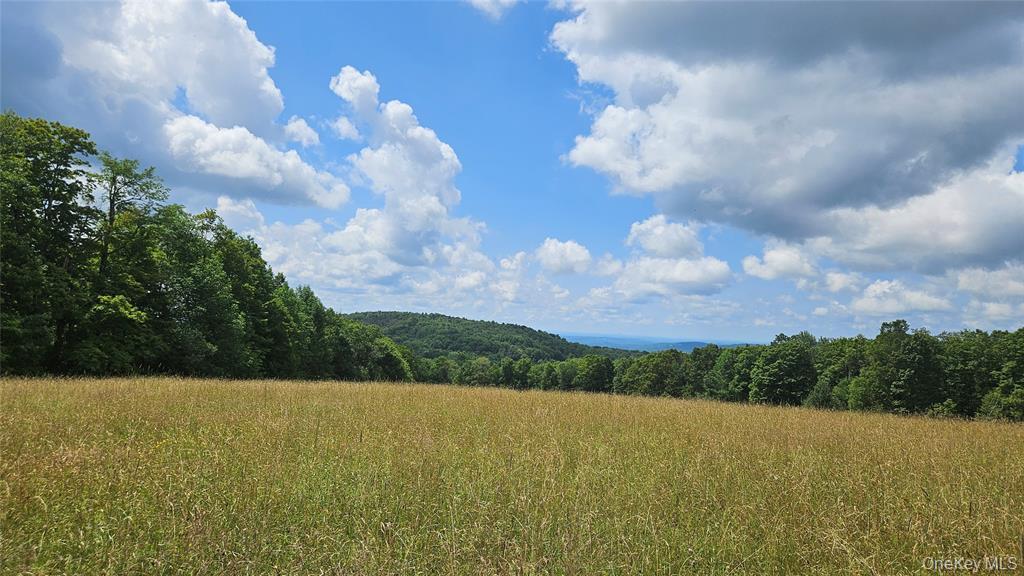 0 Stump Pond Road Property Photo 7
