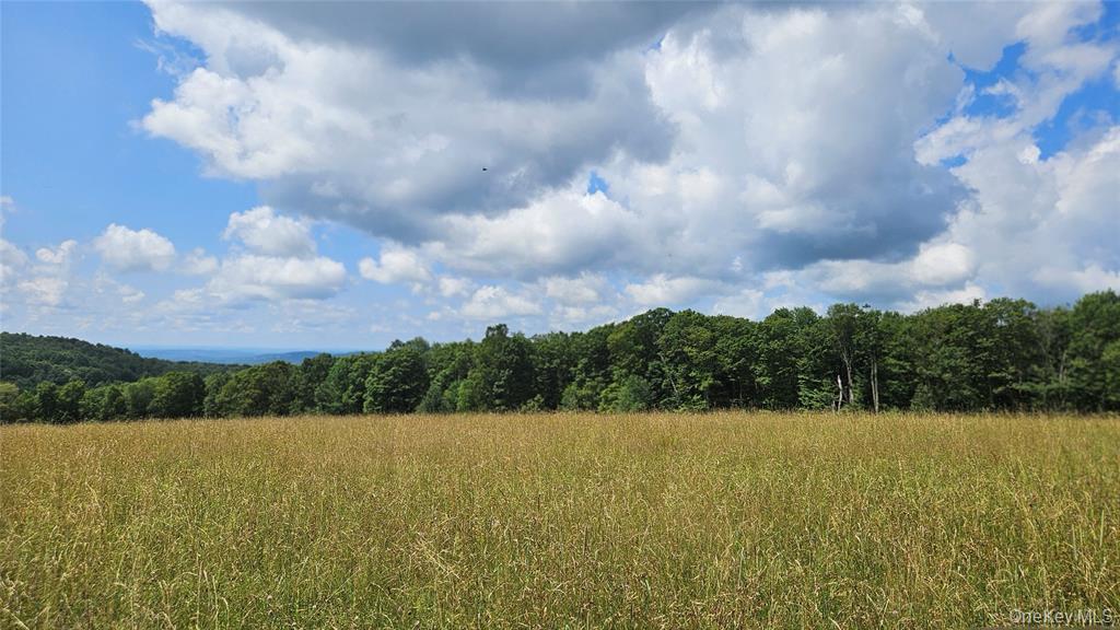 0 Stump Pond Road Property Photo 8