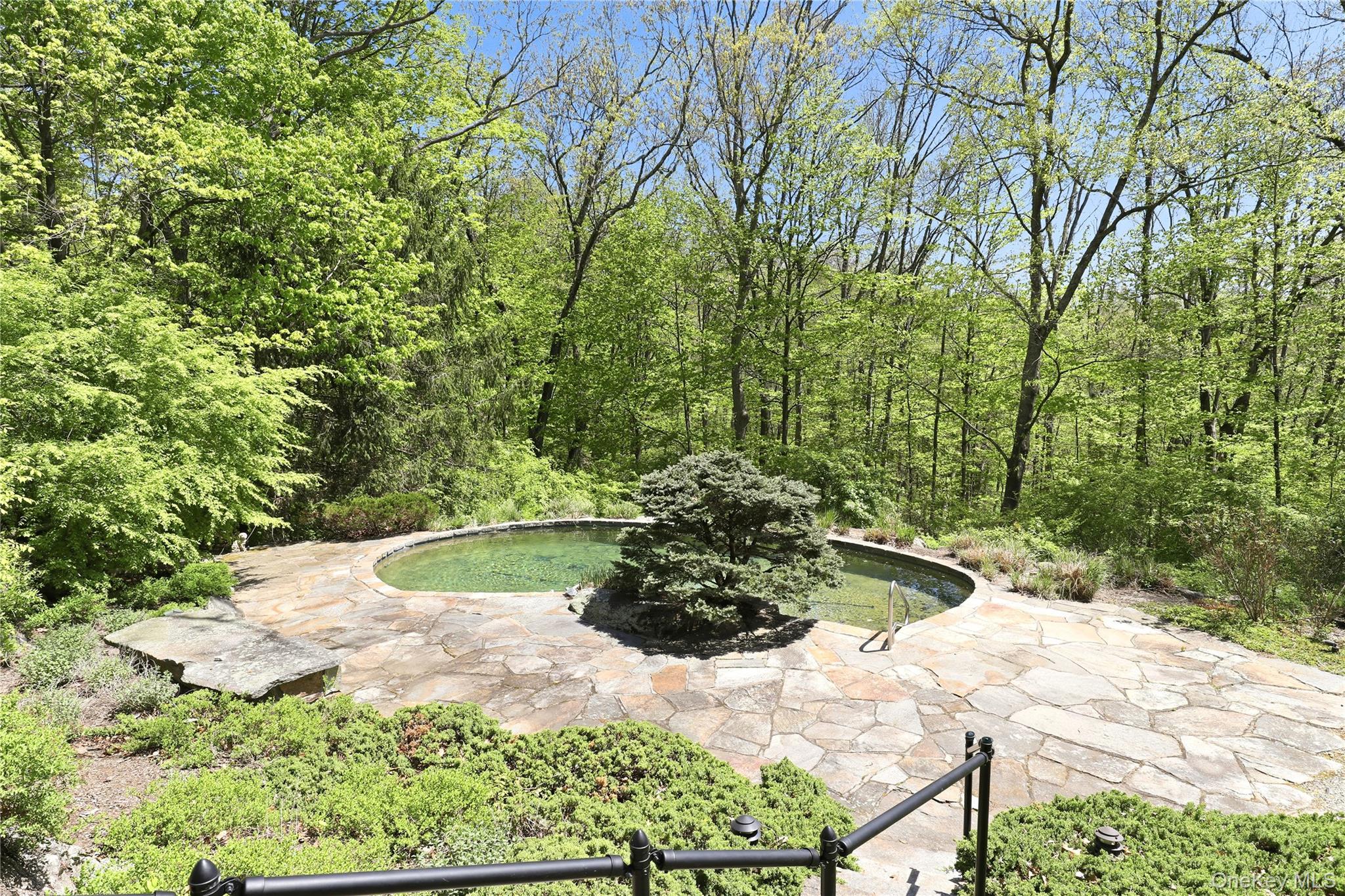 316 Haines Road Property Photo 43