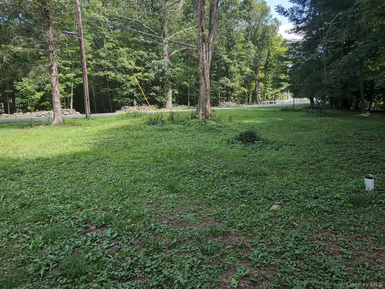 549 Hearts Content Road Property Photo 25