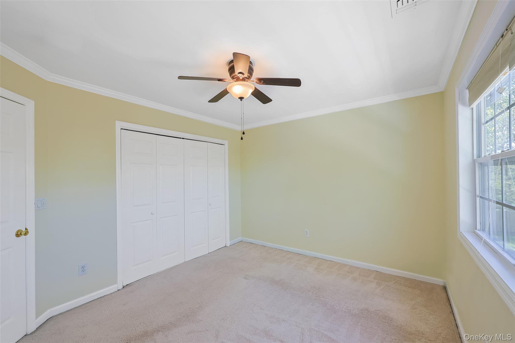 3 Sander Court Property Photo 20