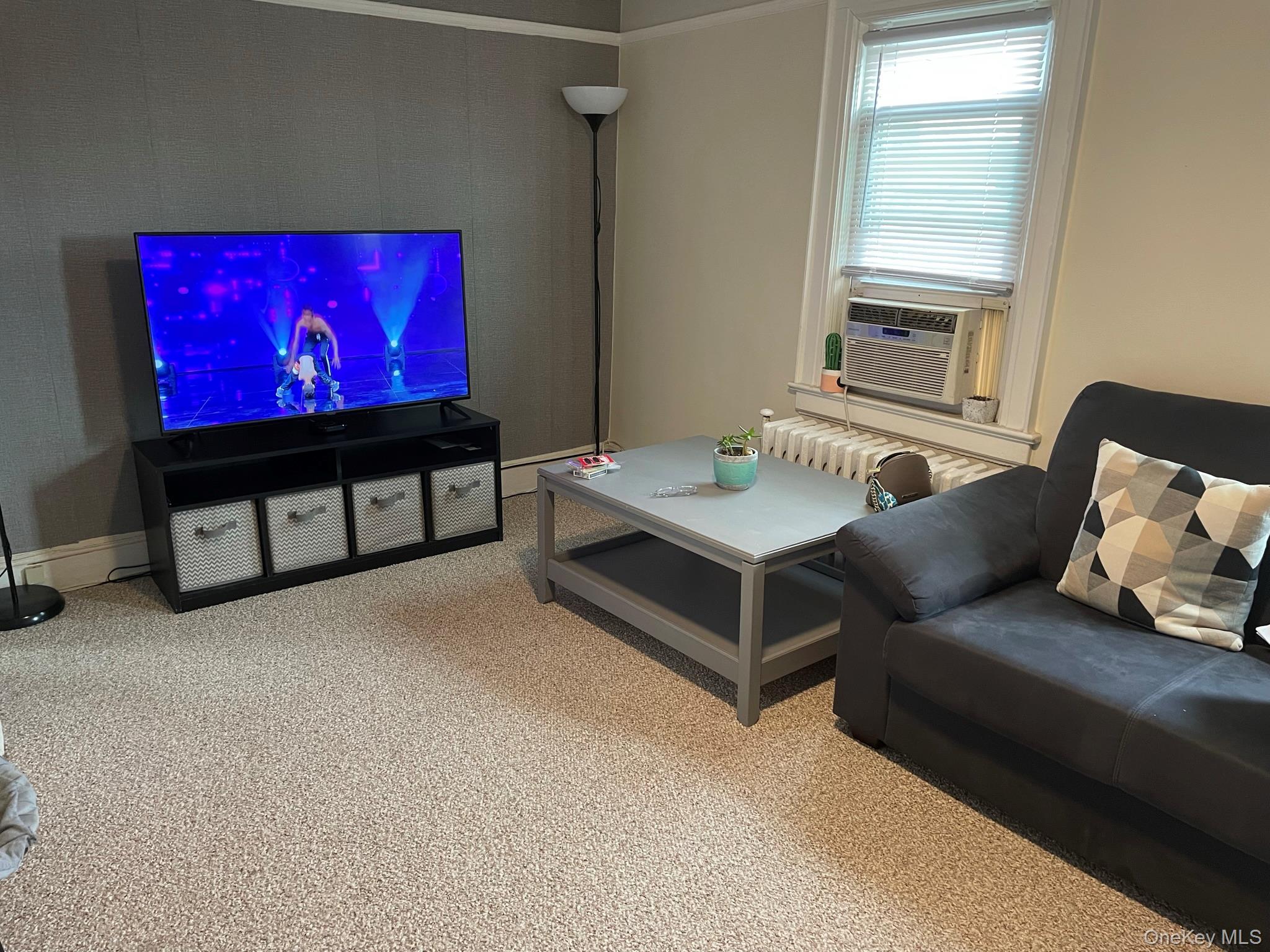 54 Mckinley Avenue Property Photo 15