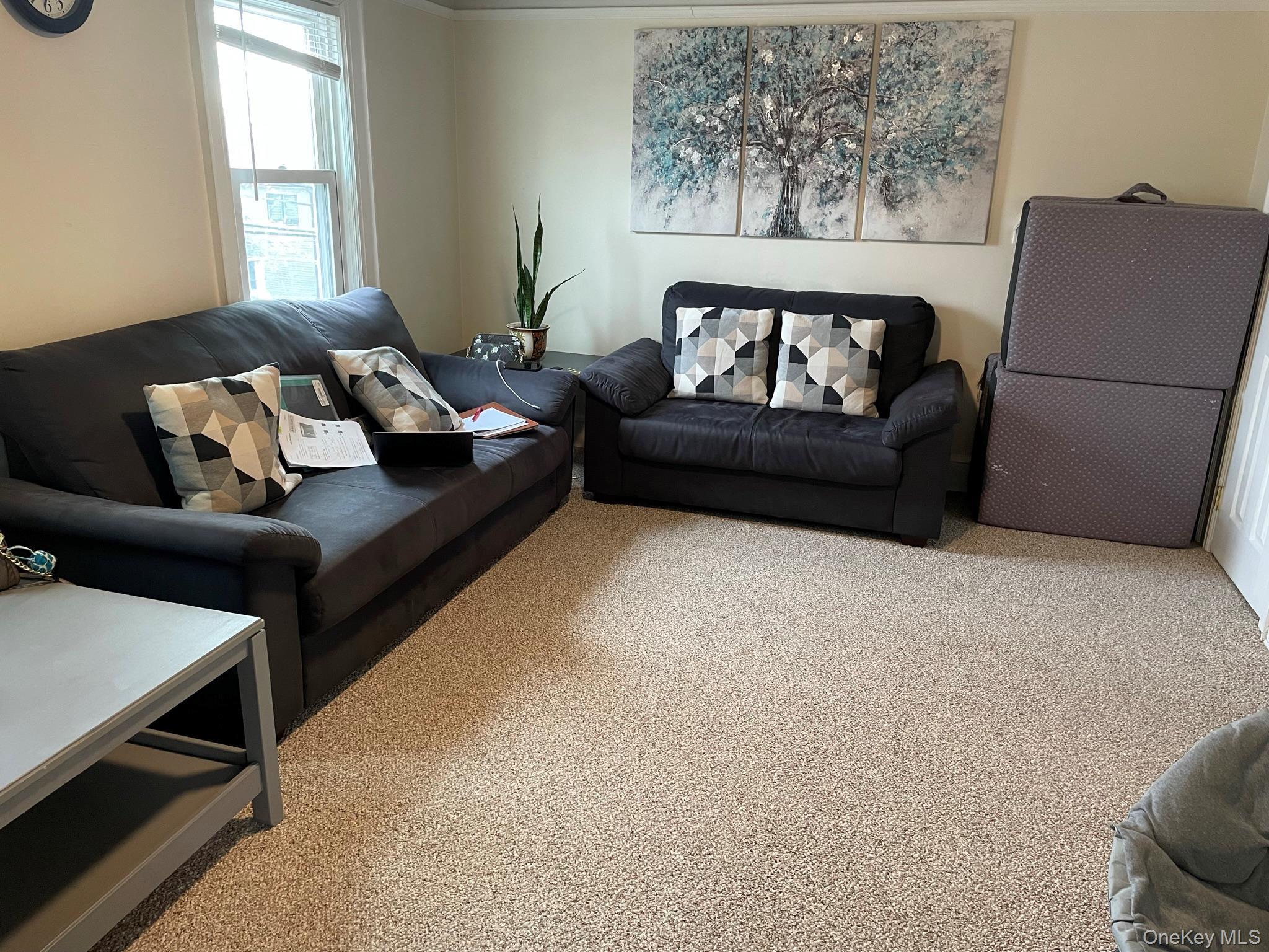54 Mckinley Avenue Property Photo 16