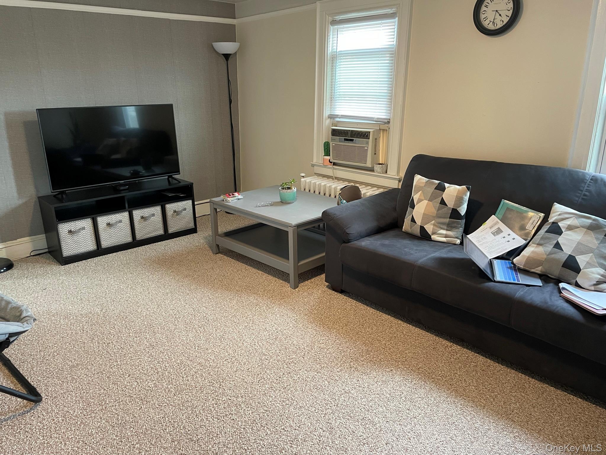 54 Mckinley Avenue Property Photo 17