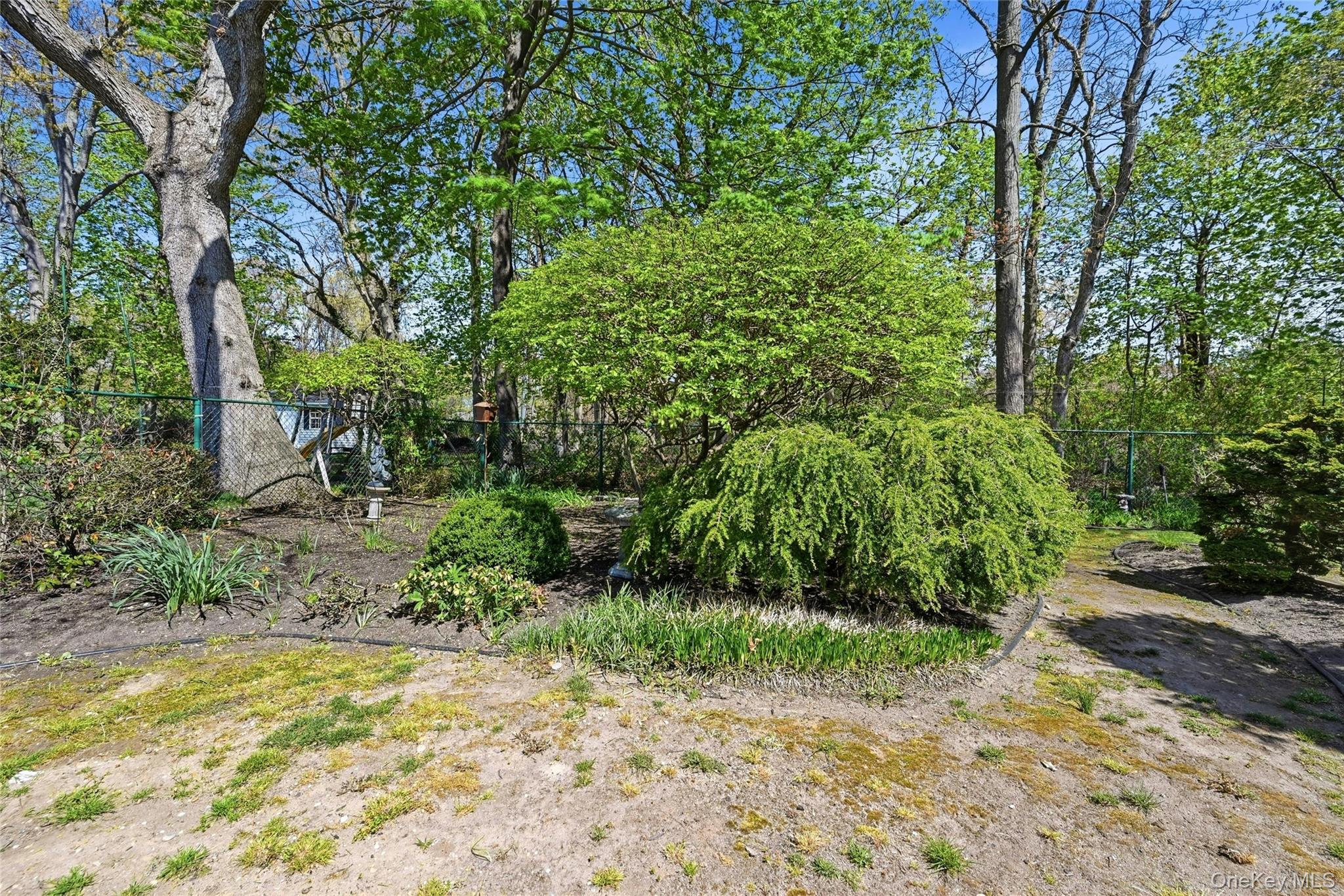 9 Robinson Street Property Photo 26