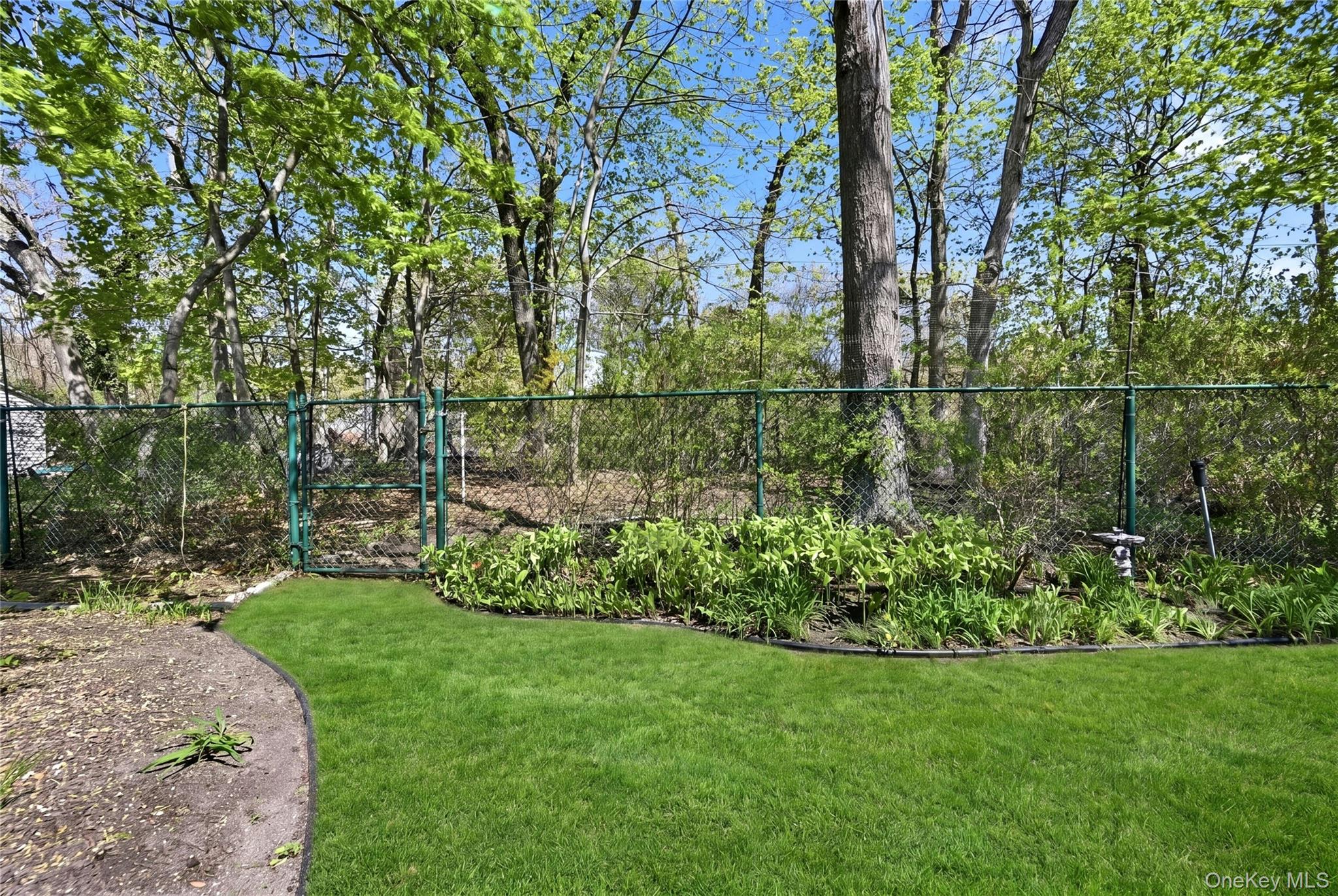 9 Robinson Street Property Photo 29