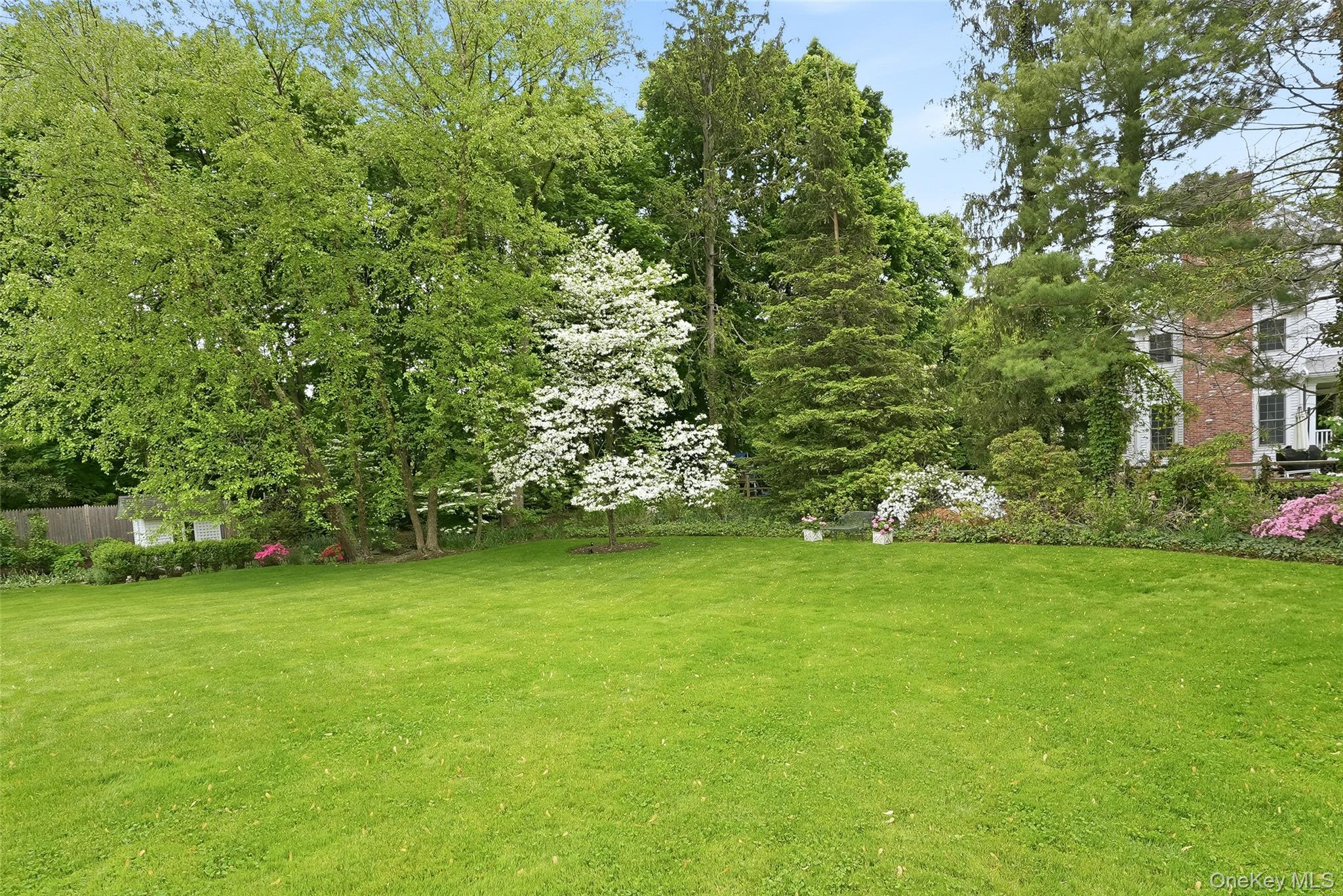 164 Julian Street Property Photo 33