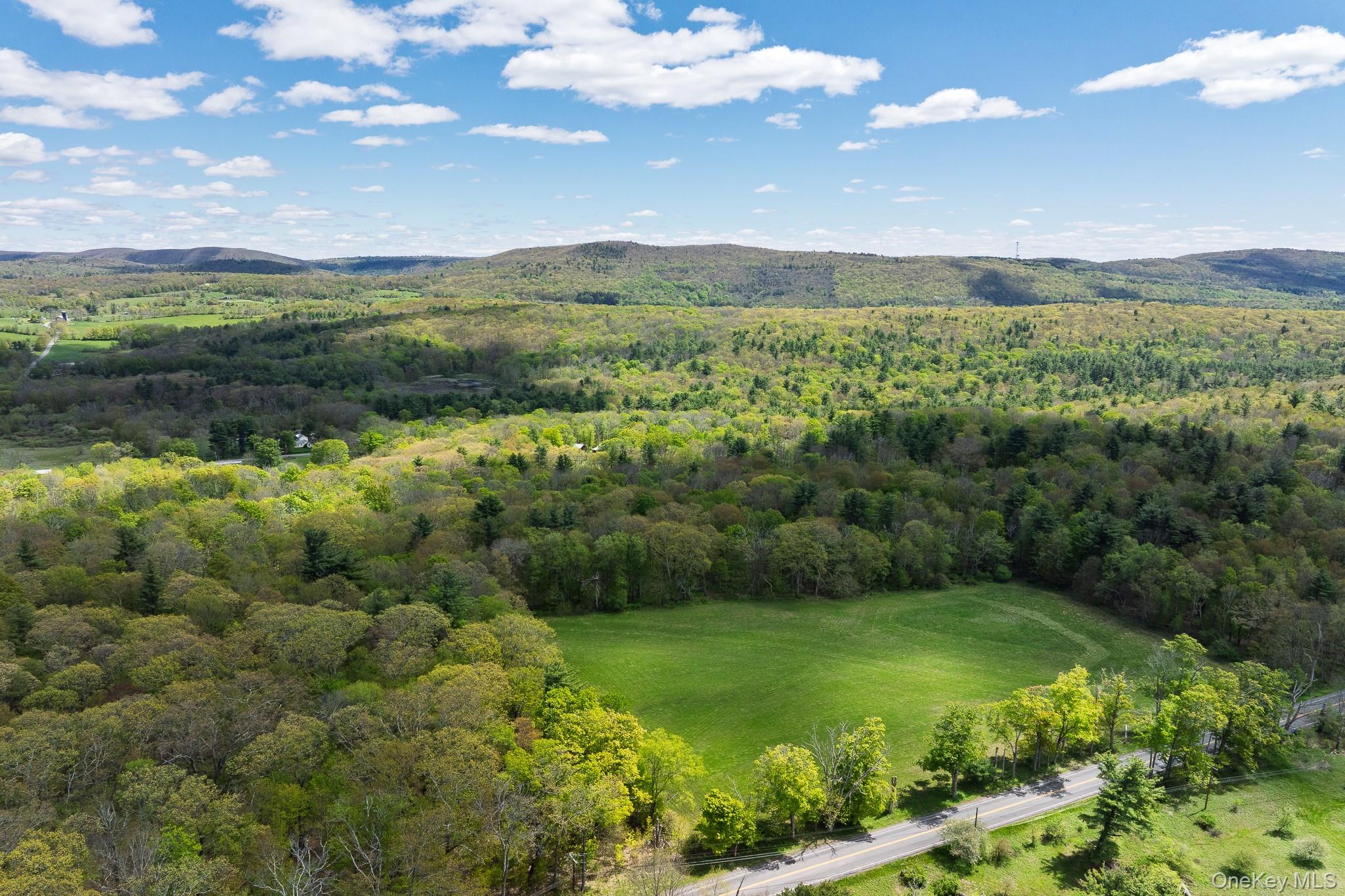 0 County Route 21 Property Photo 1