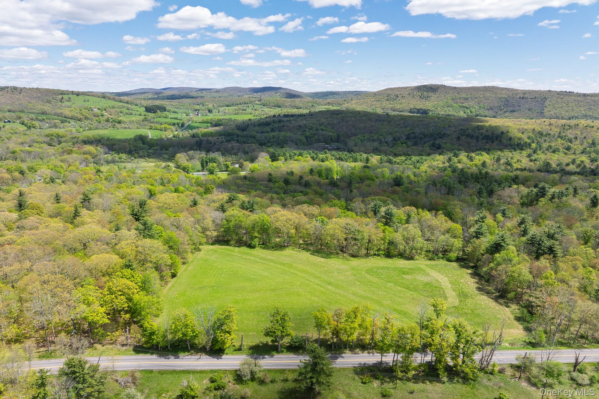 0 County Route 21 Property Photo 2