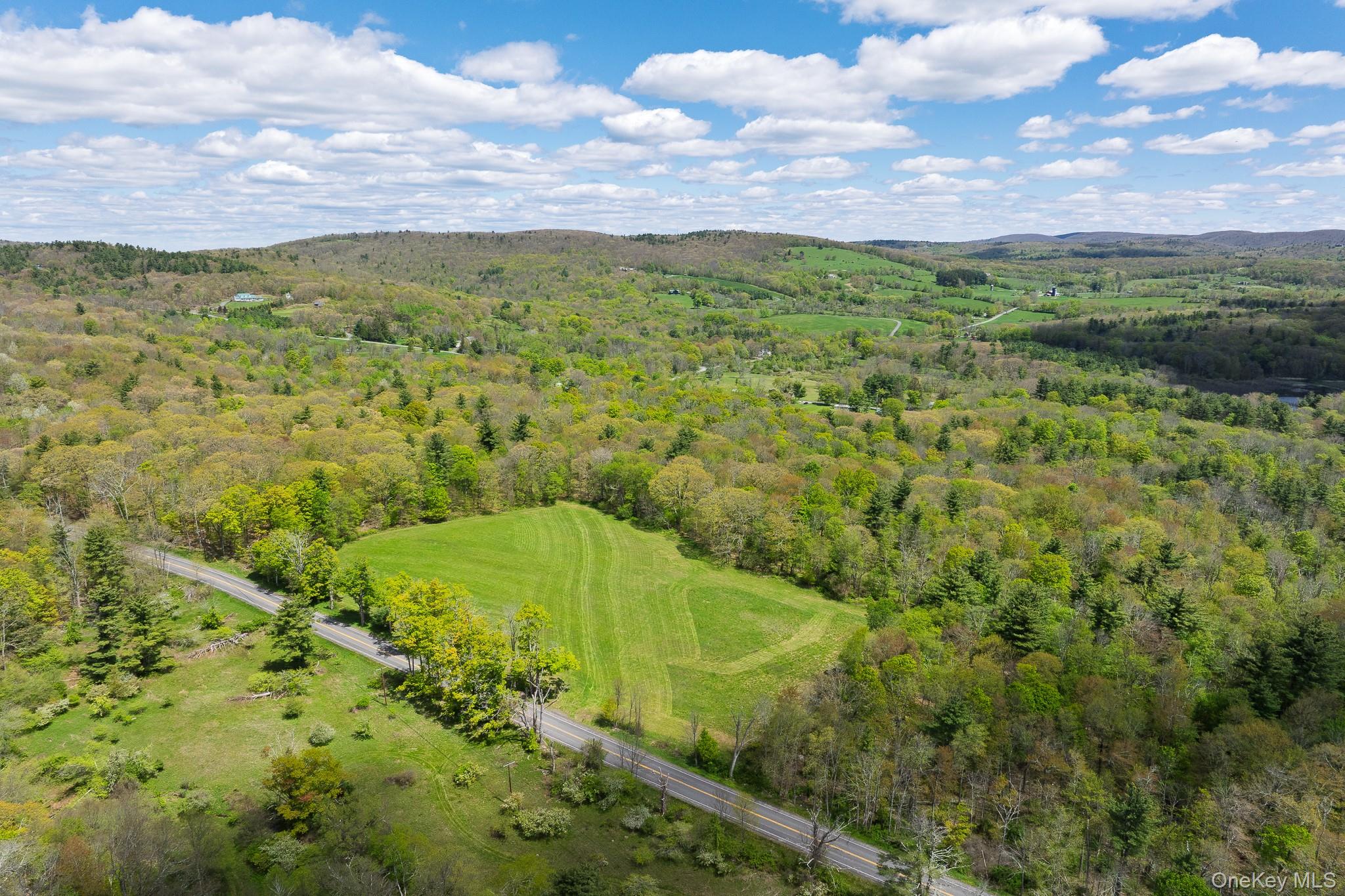 0 County Route 21 Property Photo 3