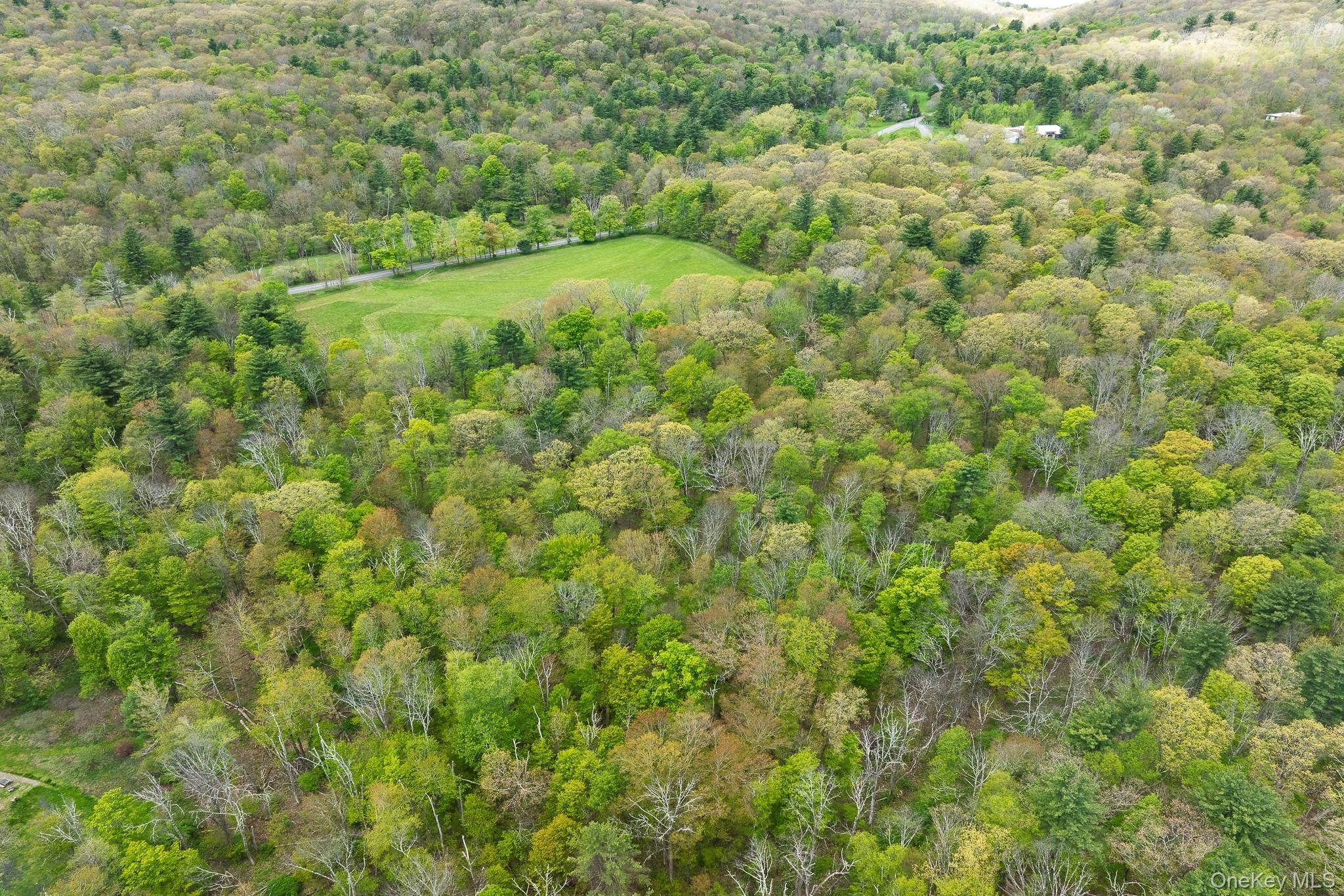 0 County Route 21 Property Photo 7