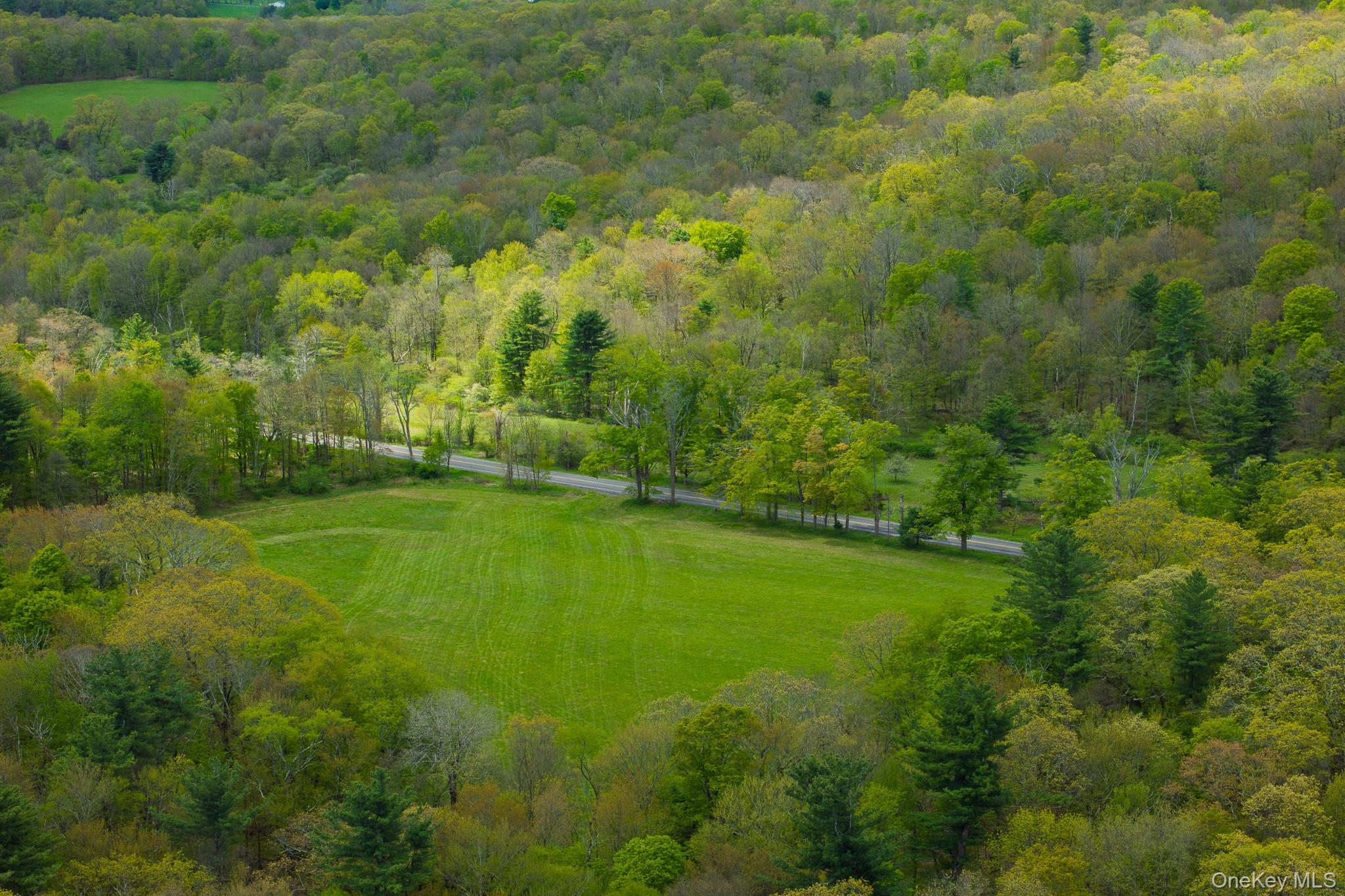 0 County Route 21 Property Photo 8