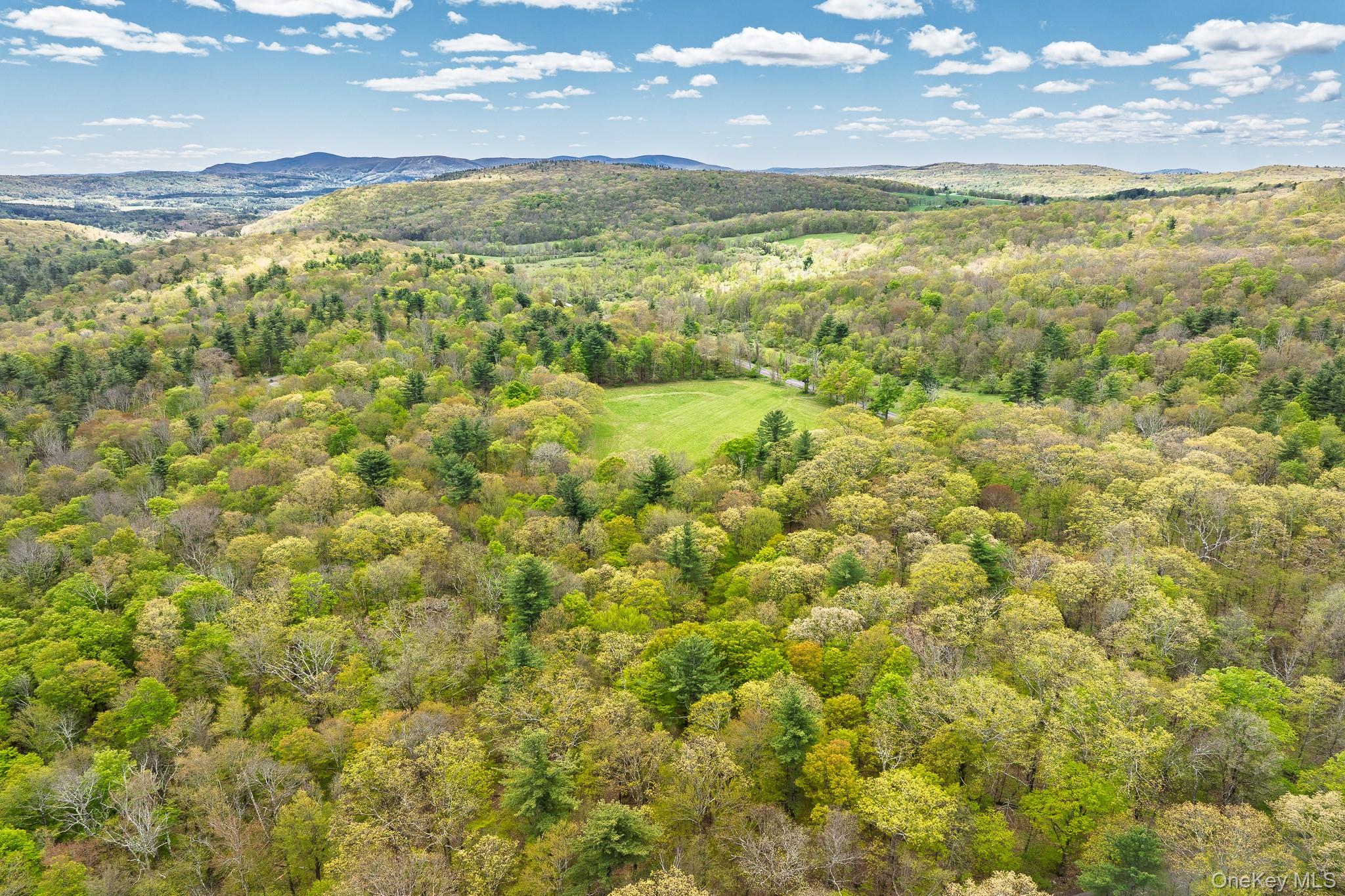 0 County Route 21 Property Photo 9