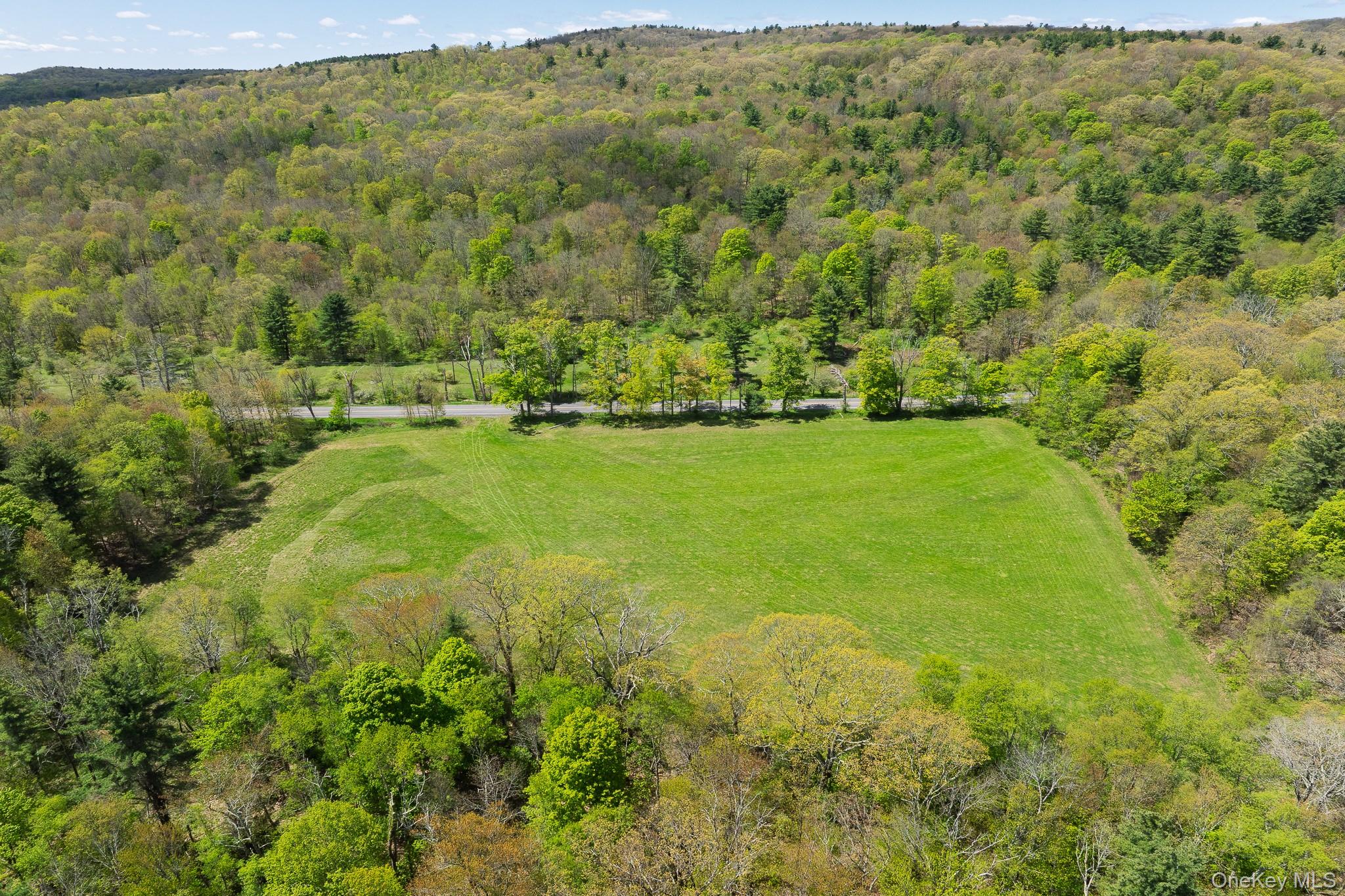 0 County Route 21 Property Photo 10