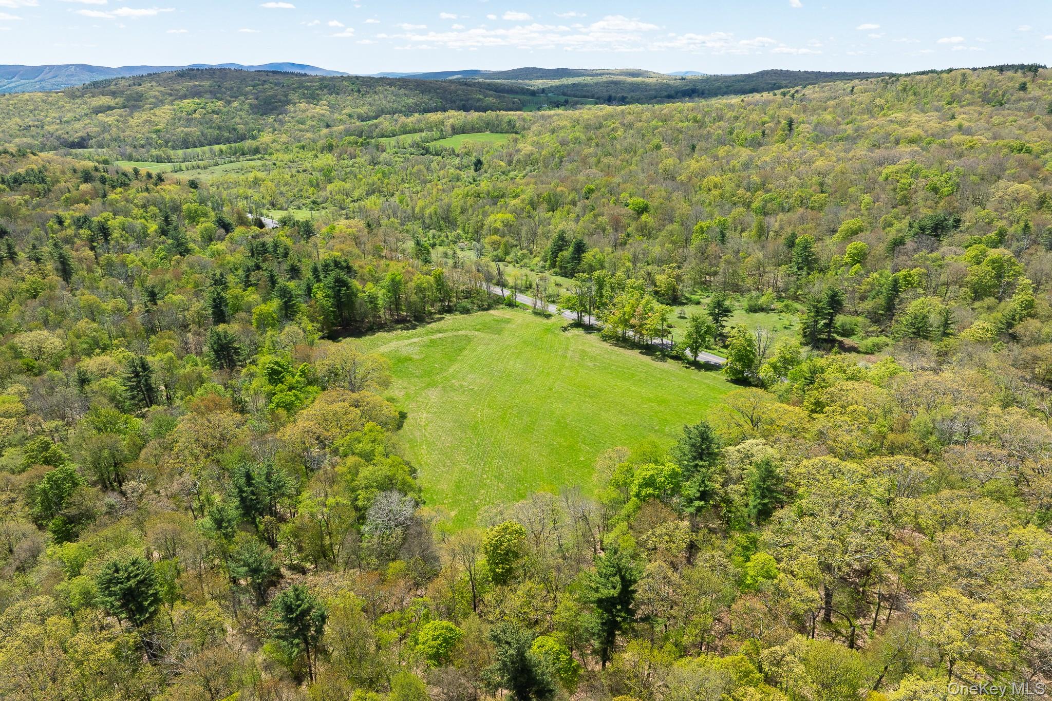 0 County Route 21 Property Photo 11