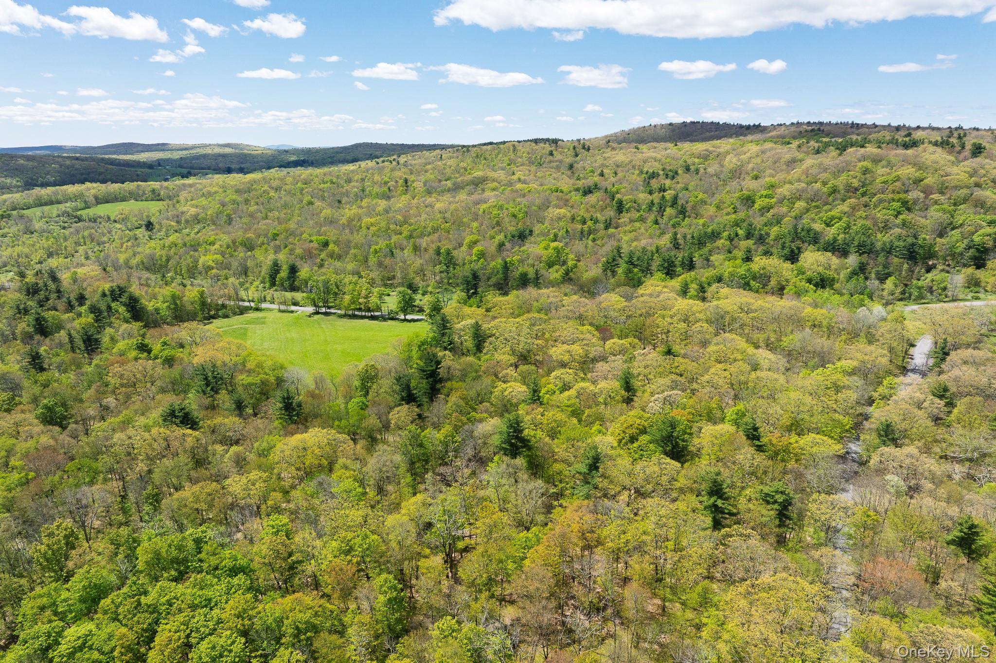 0 County Route 21 Property Photo 12