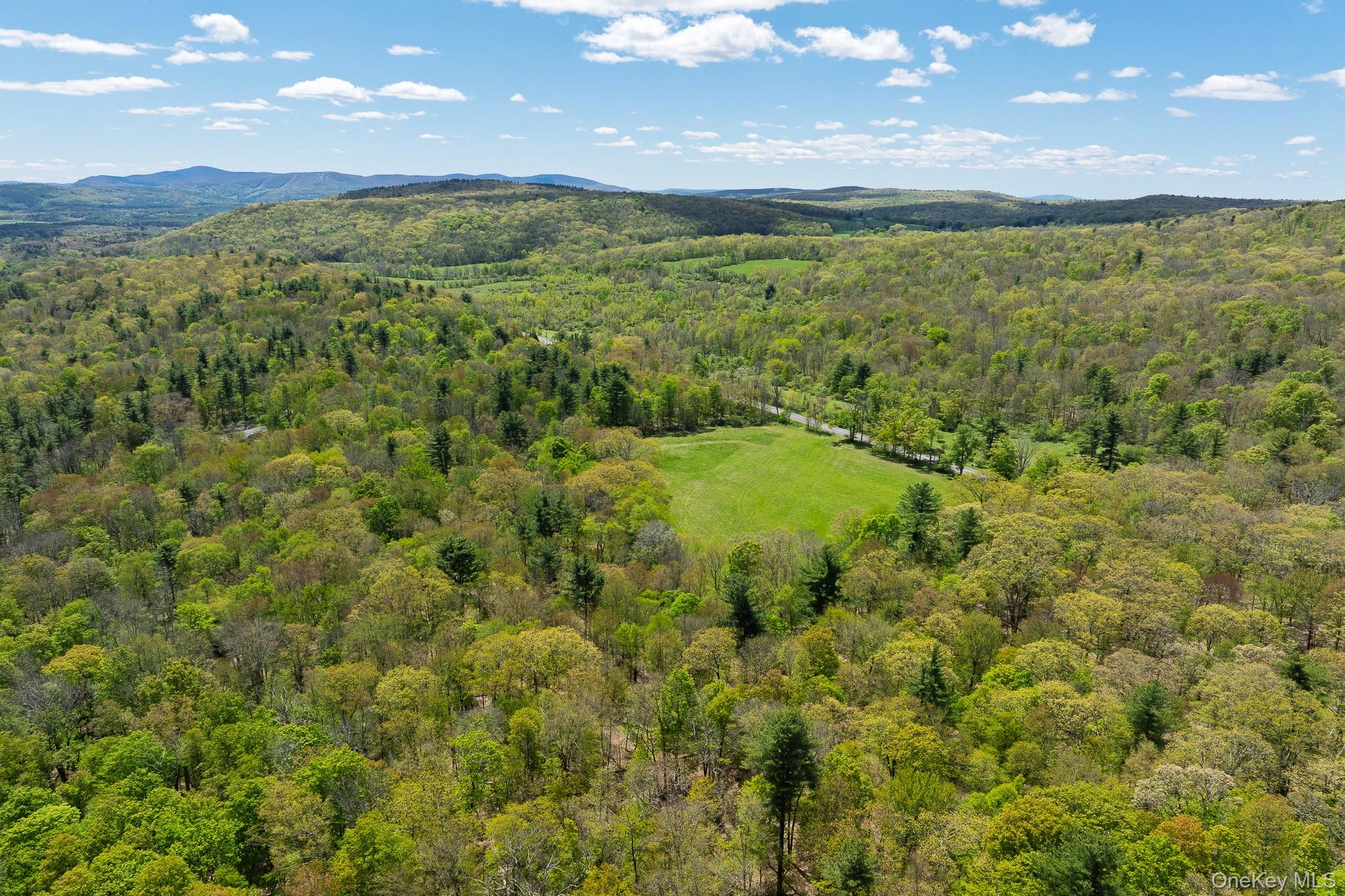 0 County Route 21 Property Photo 13