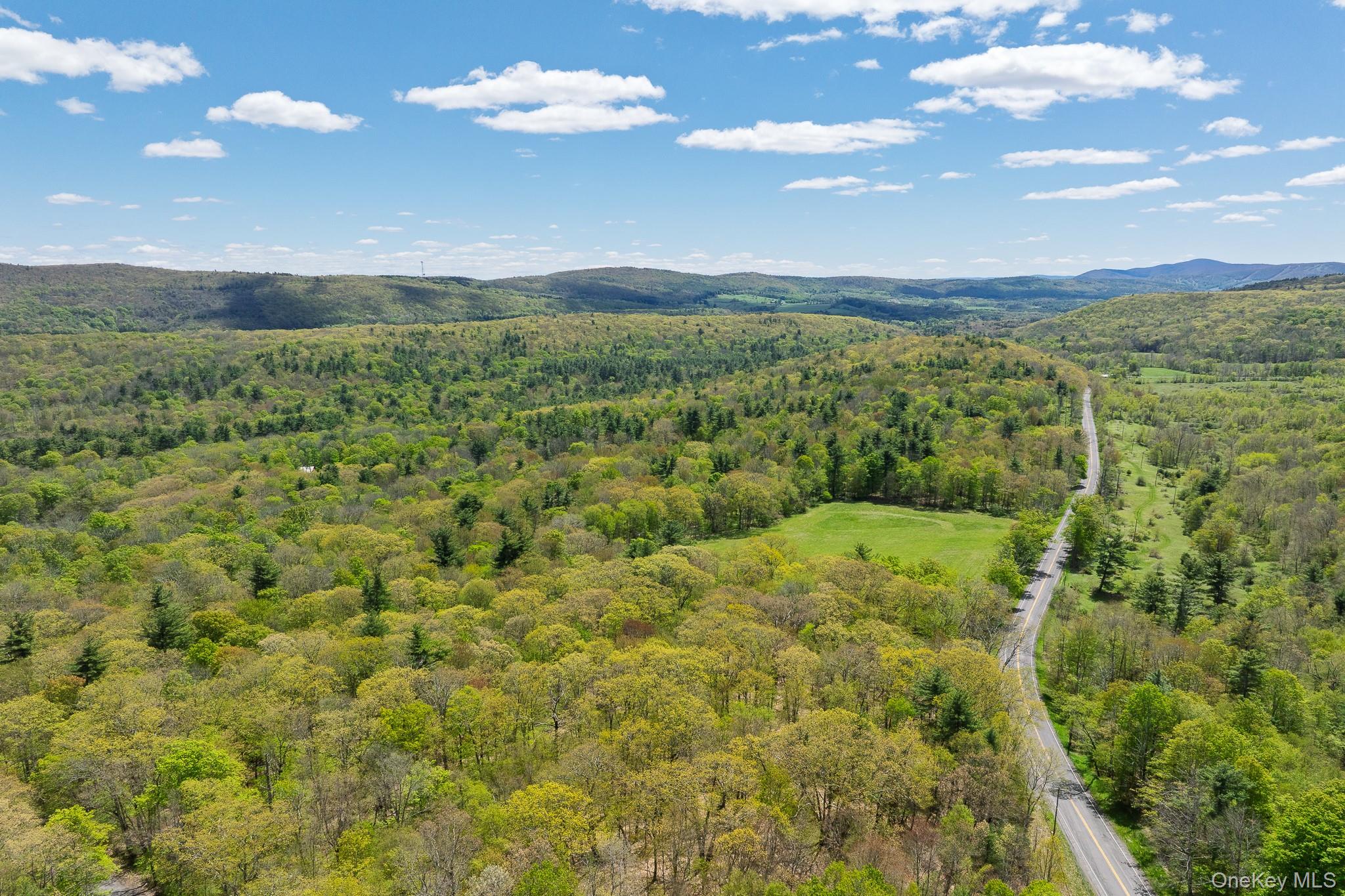 0 County Route 21 Property Photo 14