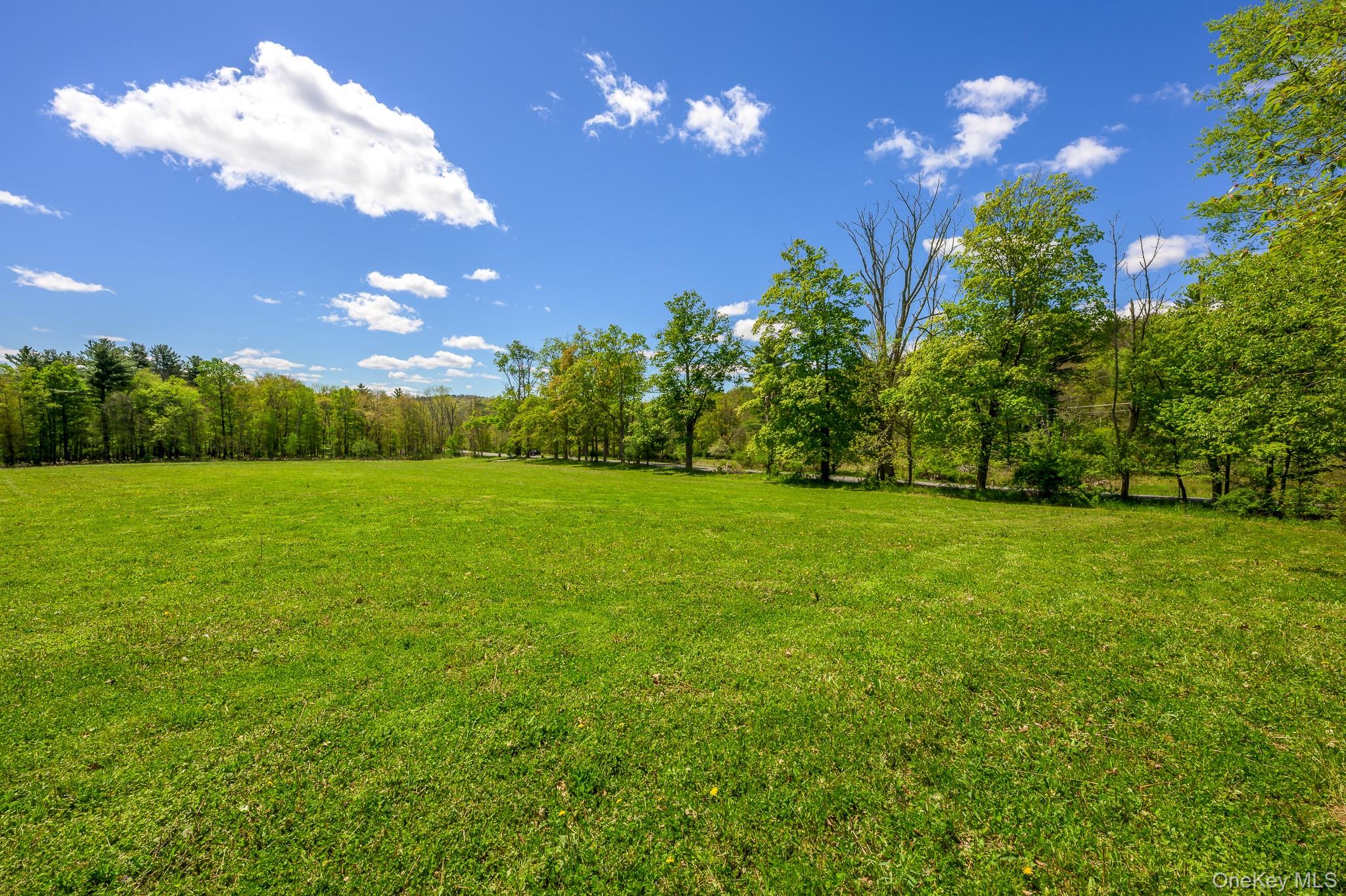 0 County Route 21 Property Photo 15