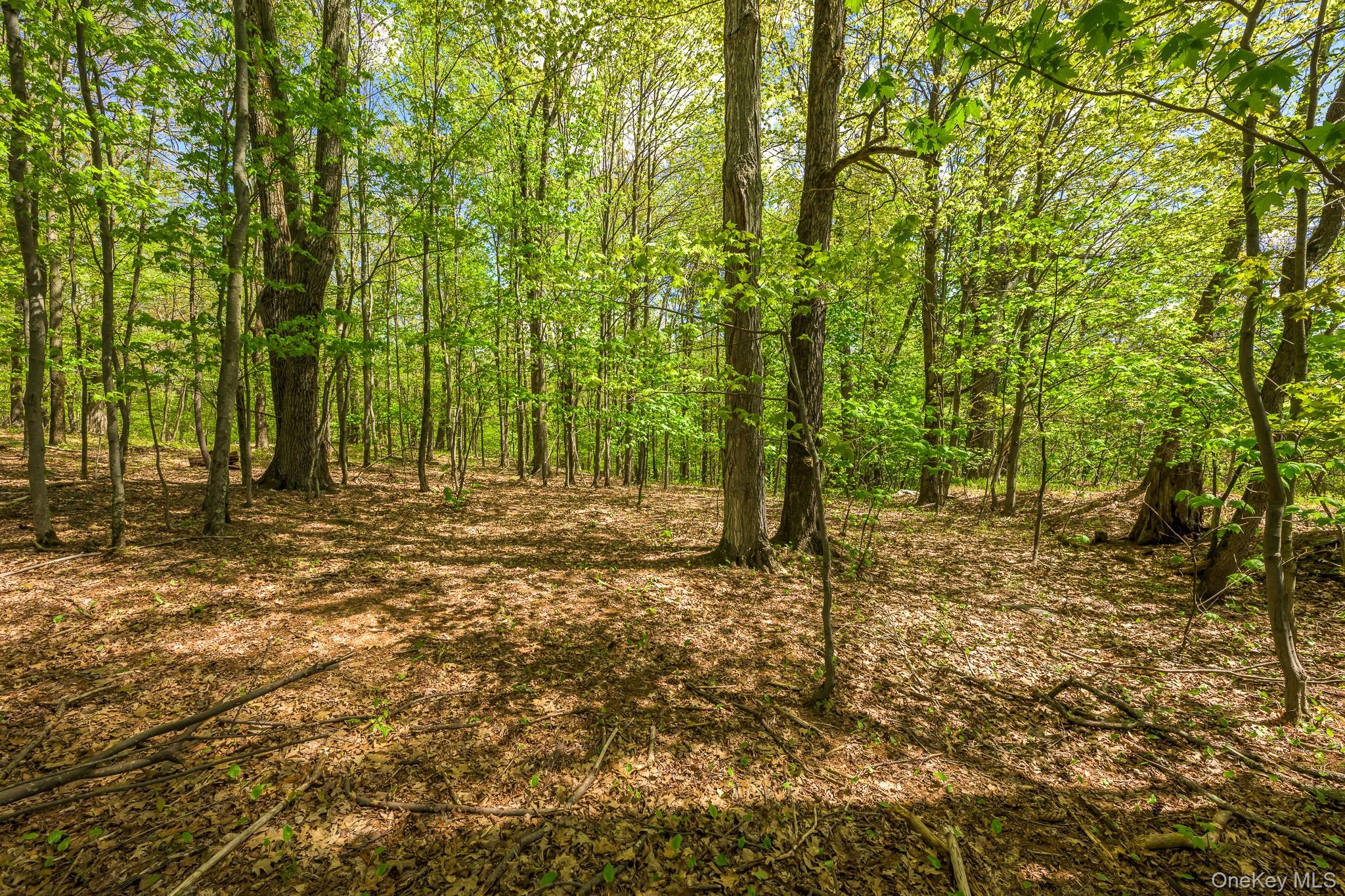 0 County Route 21 Property Photo 16