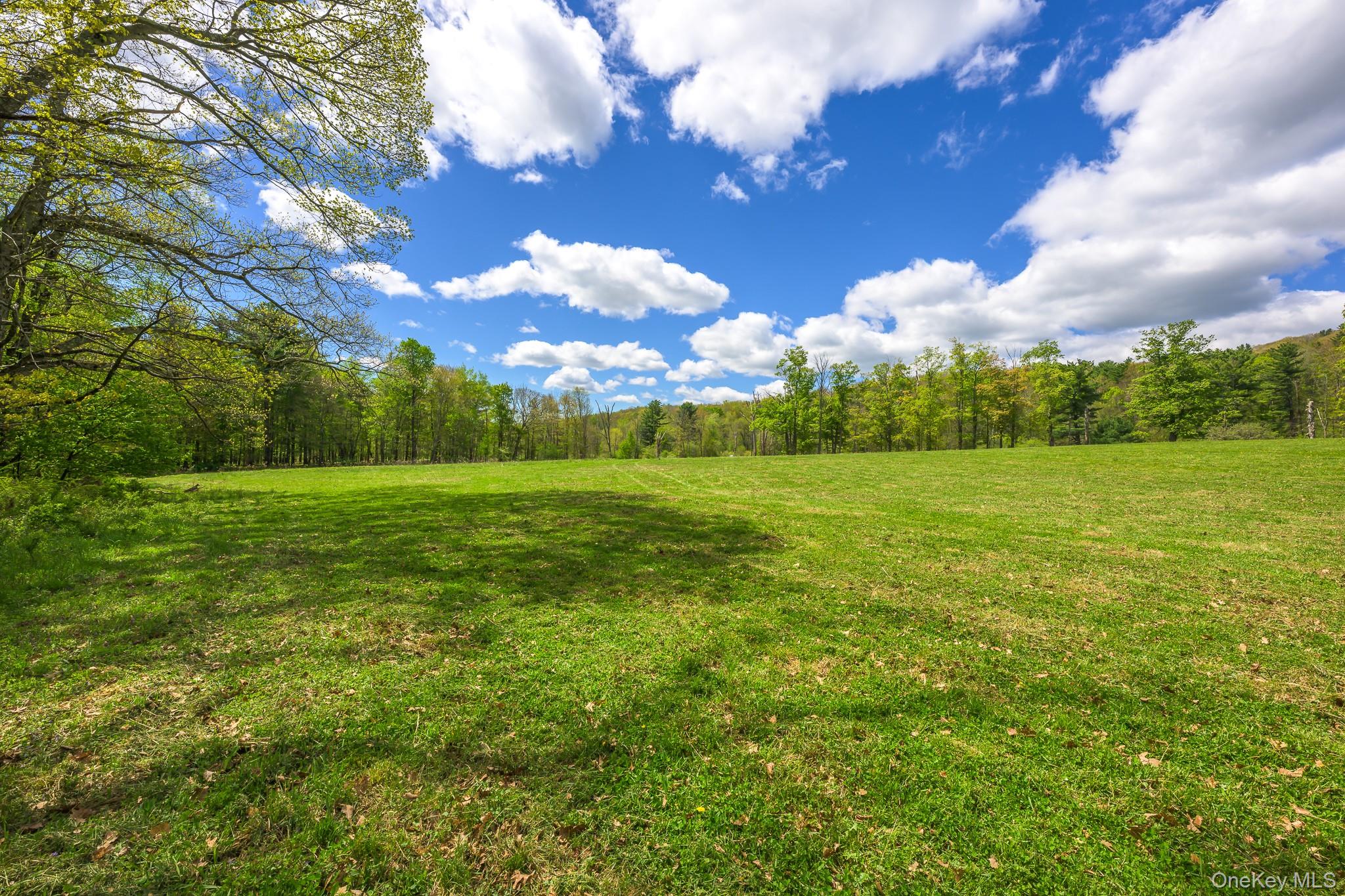 0 County Route 21 Property Photo 17