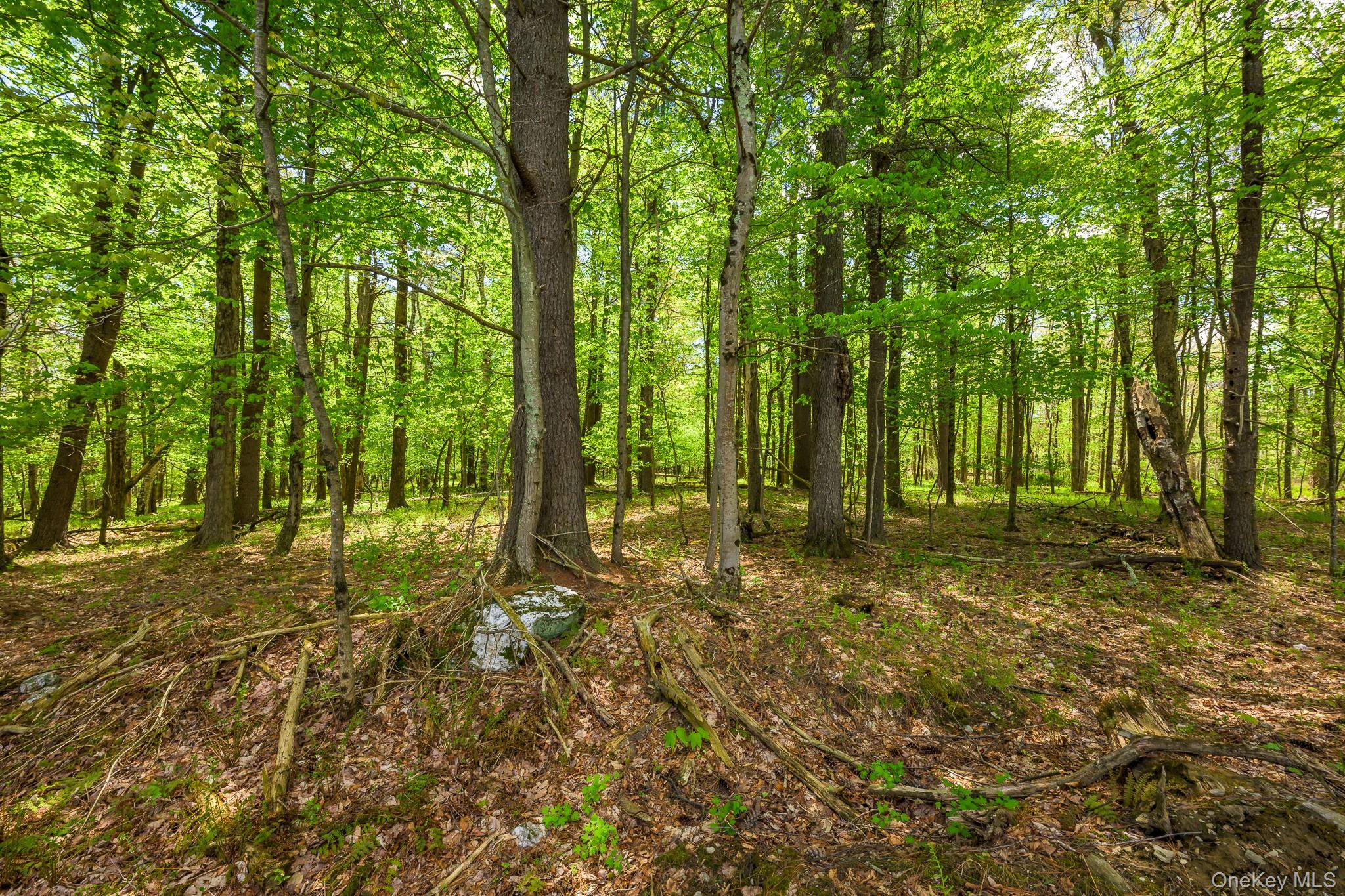 0 County Route 21 Property Photo 18