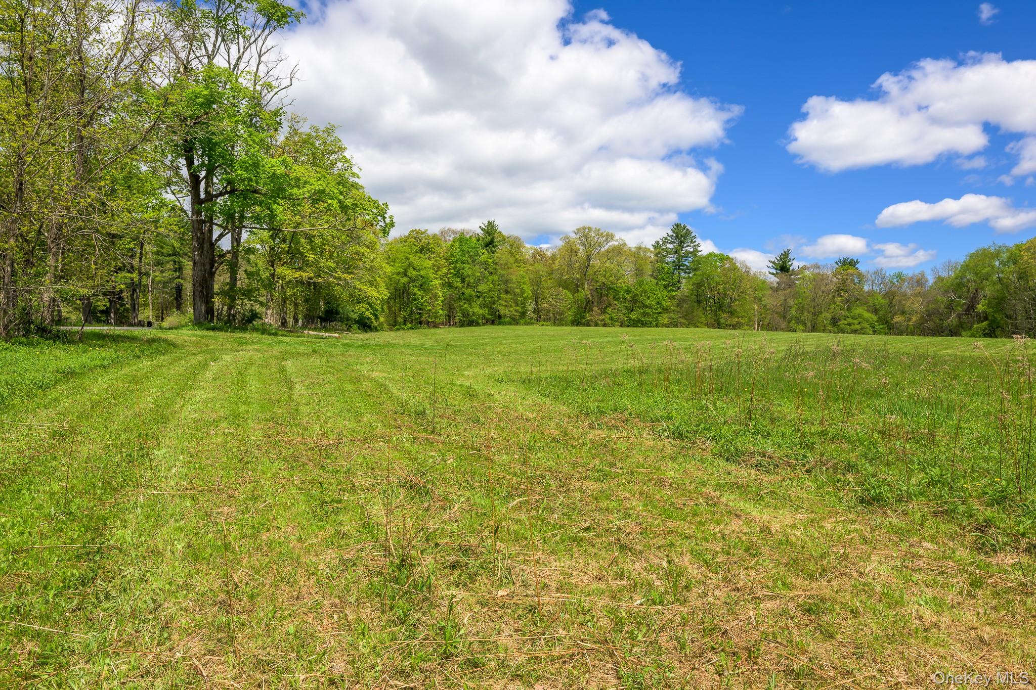 0 County Route 21 Property Photo 19