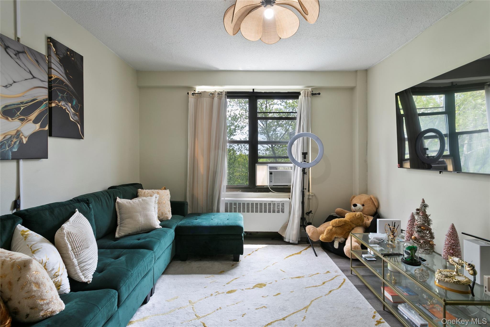 161 Pearsall Drive 6h Property Photo 2