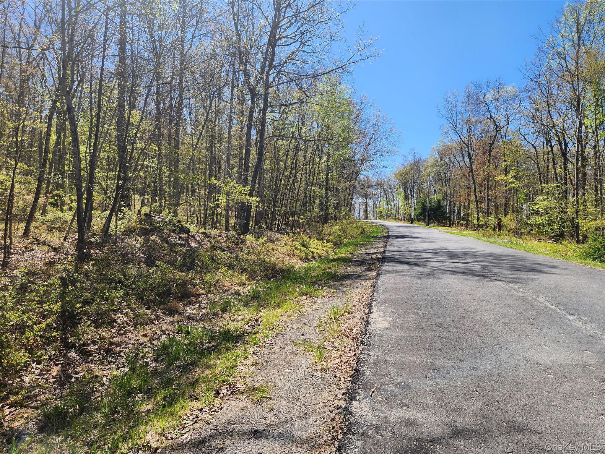 Lot 34 Lenni Lenape Road Property Photo 6