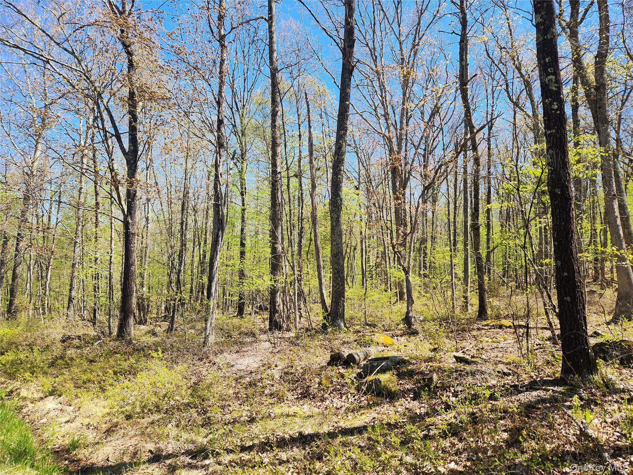 Lot 34 Lenni Lenape Road Property Photo 8