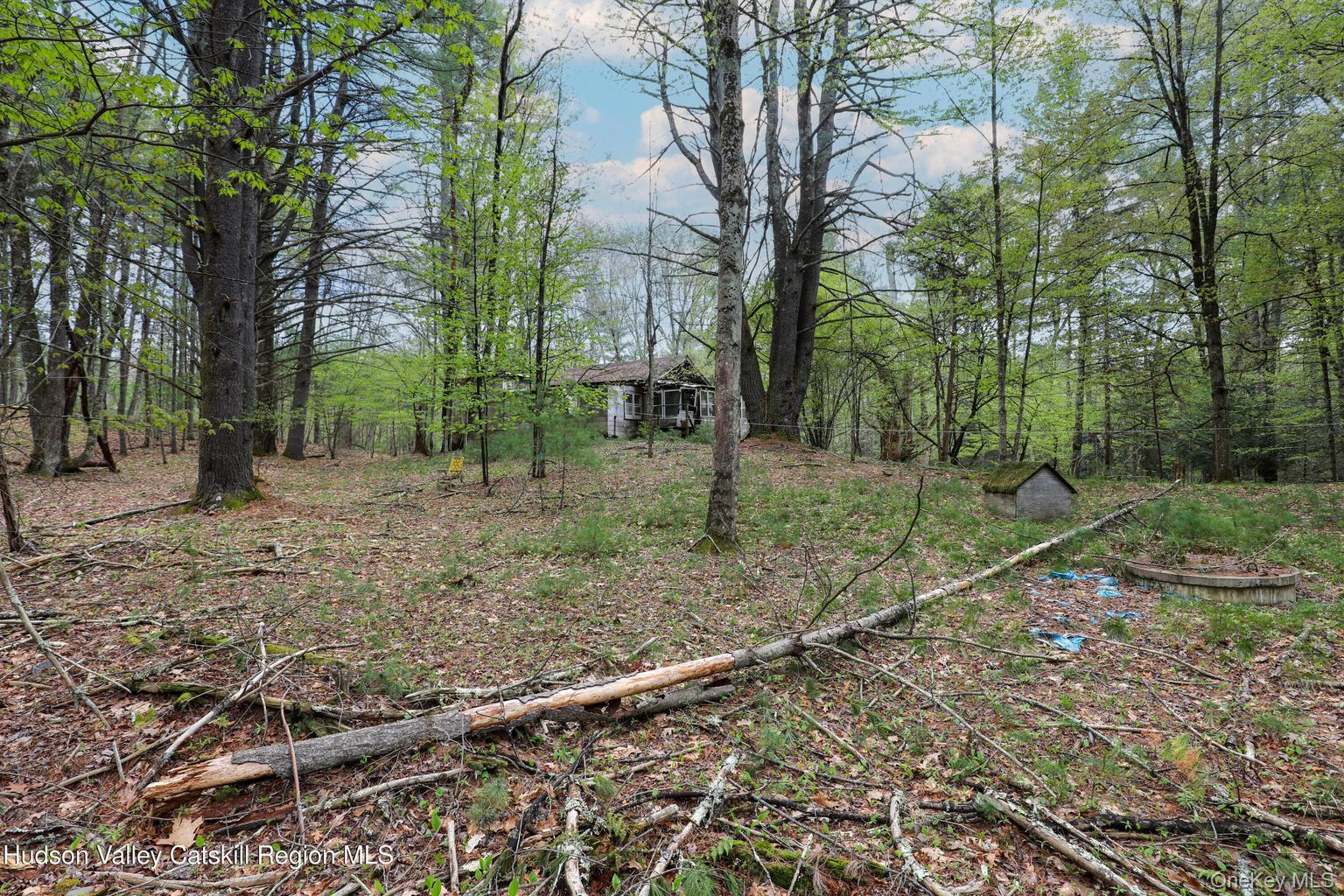 44 Pine Grove Road Property Photo 2