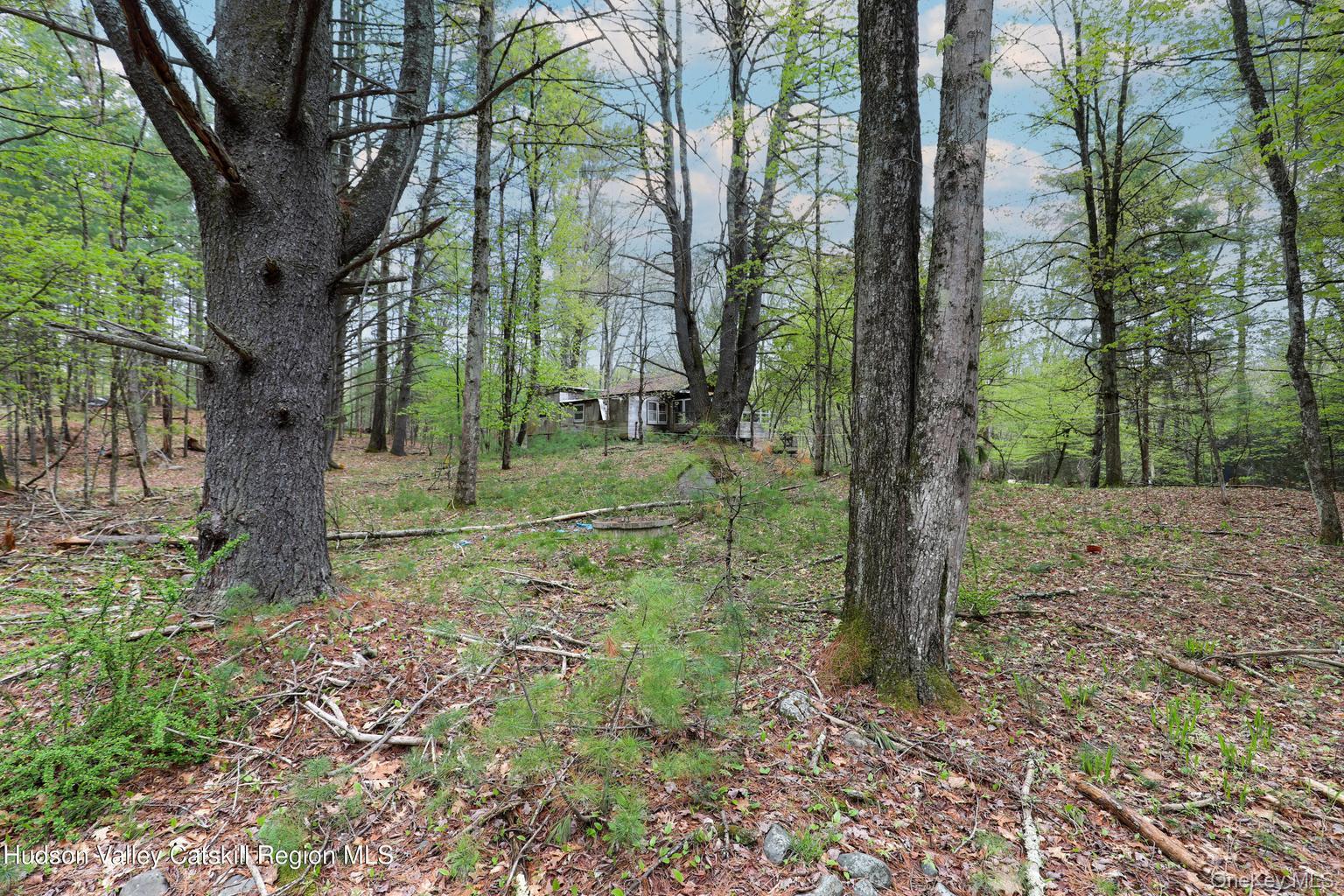 44 Pine Grove Road Property Photo 3