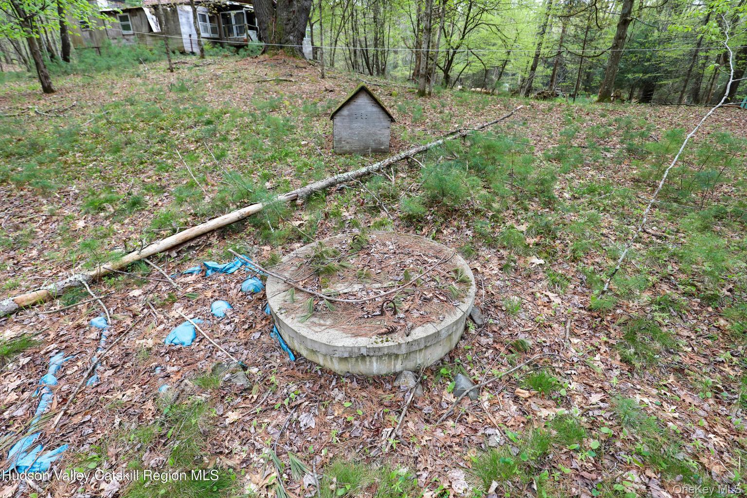 44 Pine Grove Road Property Photo 4