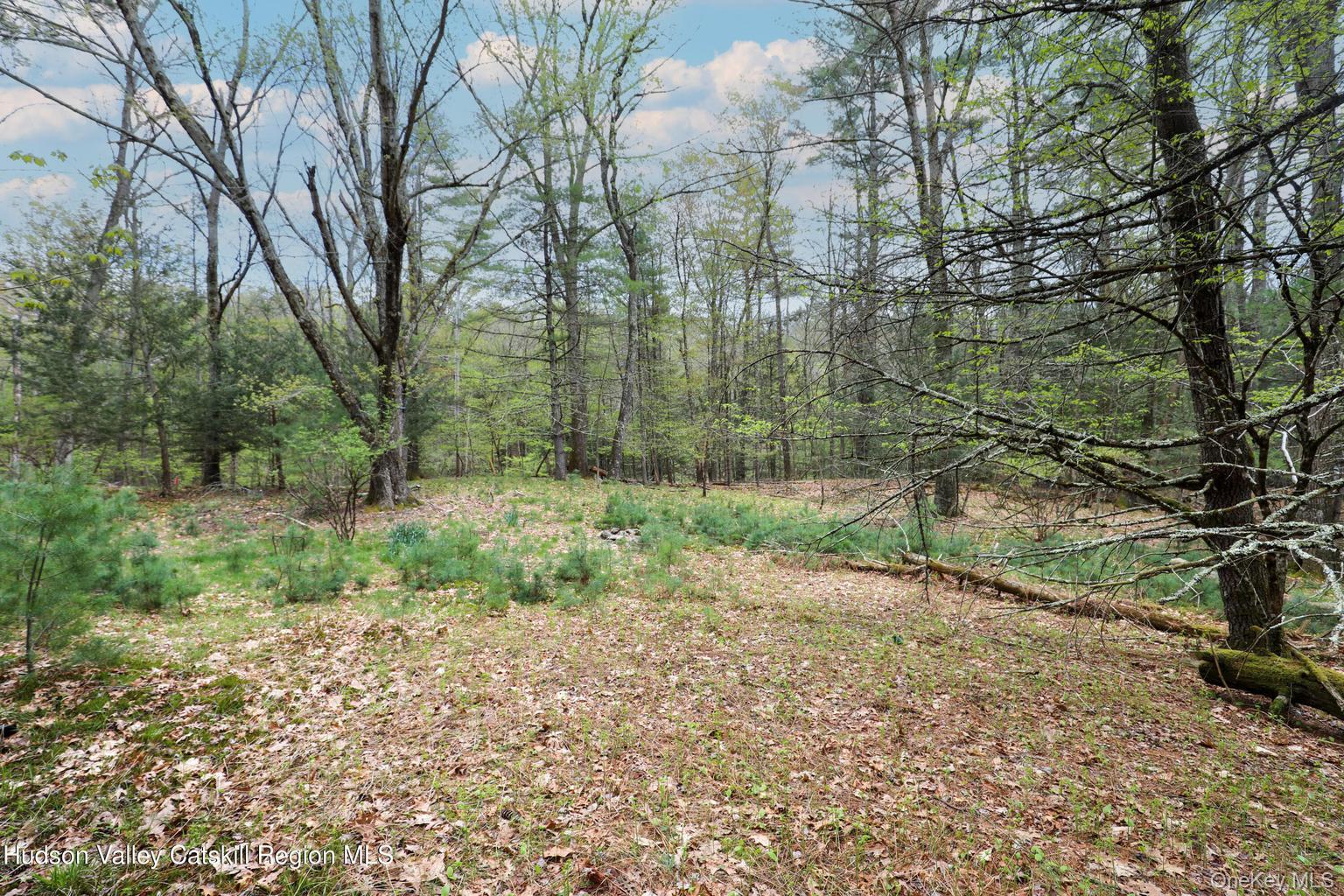 44 Pine Grove Road Property Photo 7